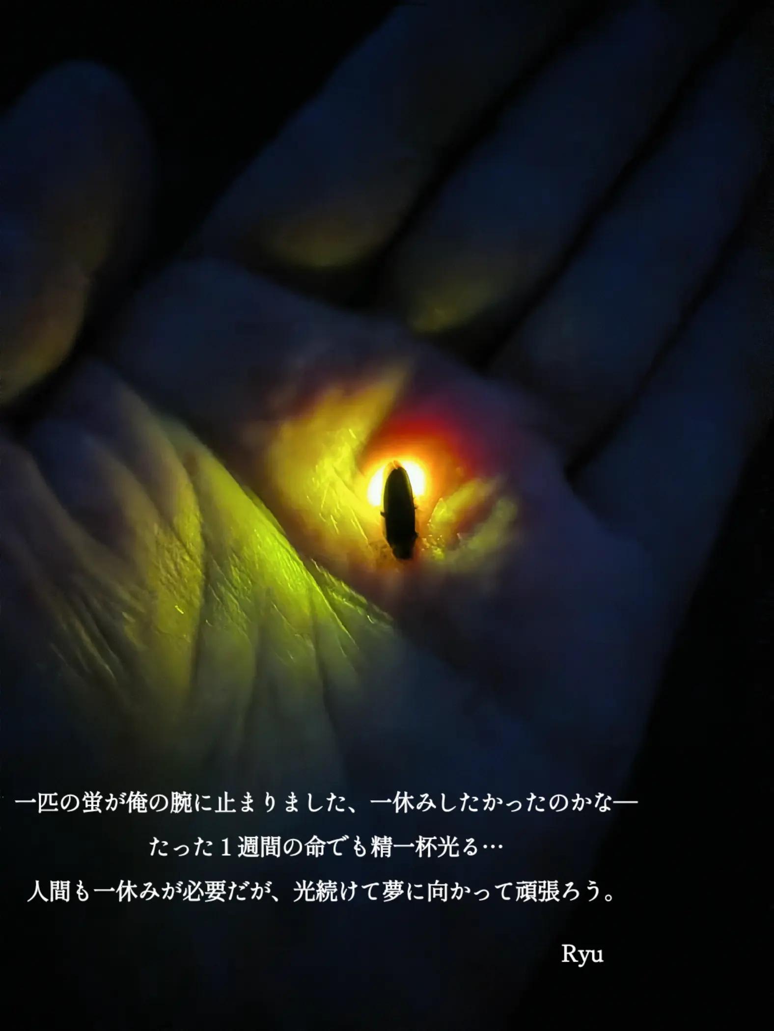 @押忍!Ryuです✌