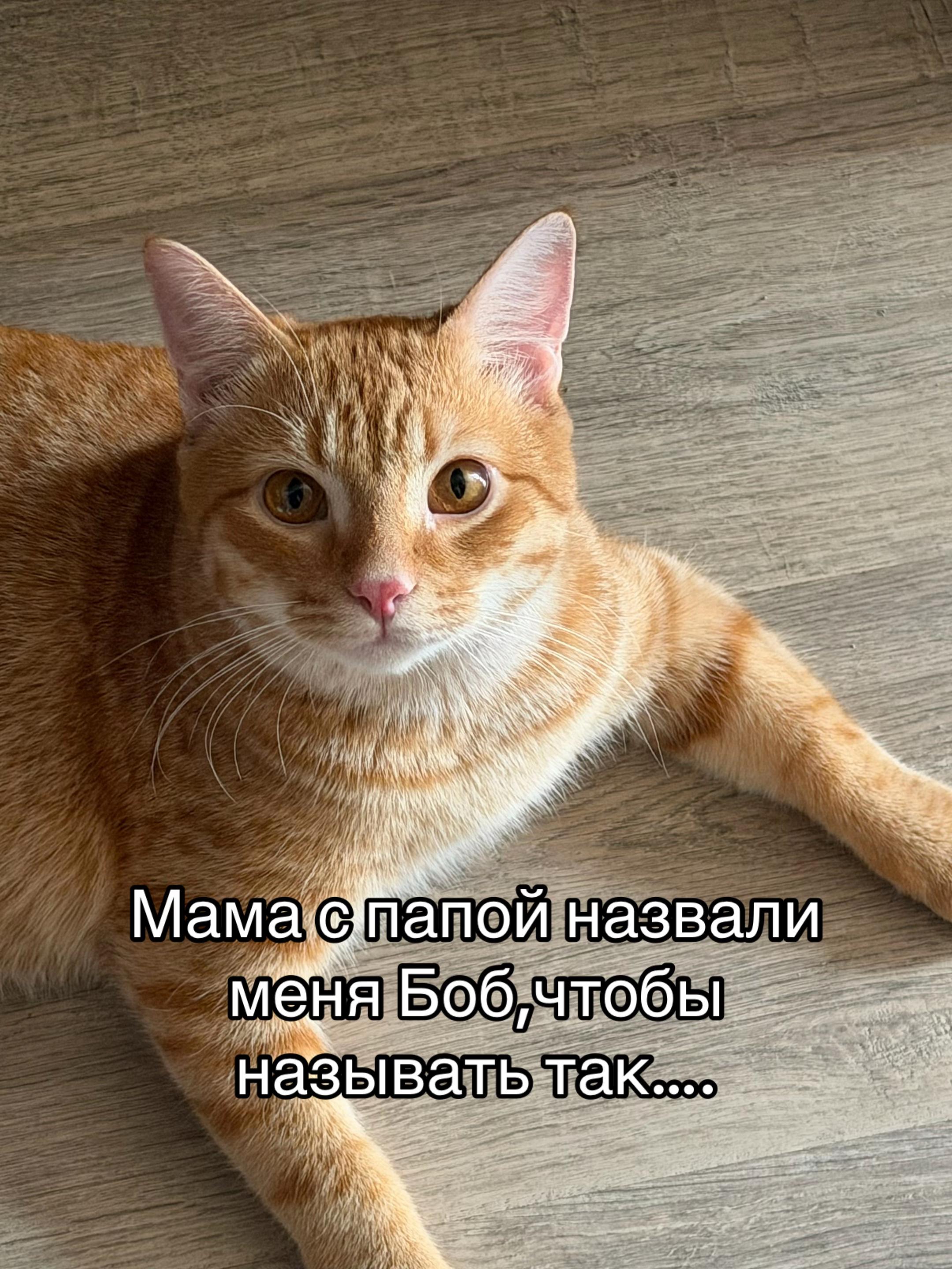 @кастрюля