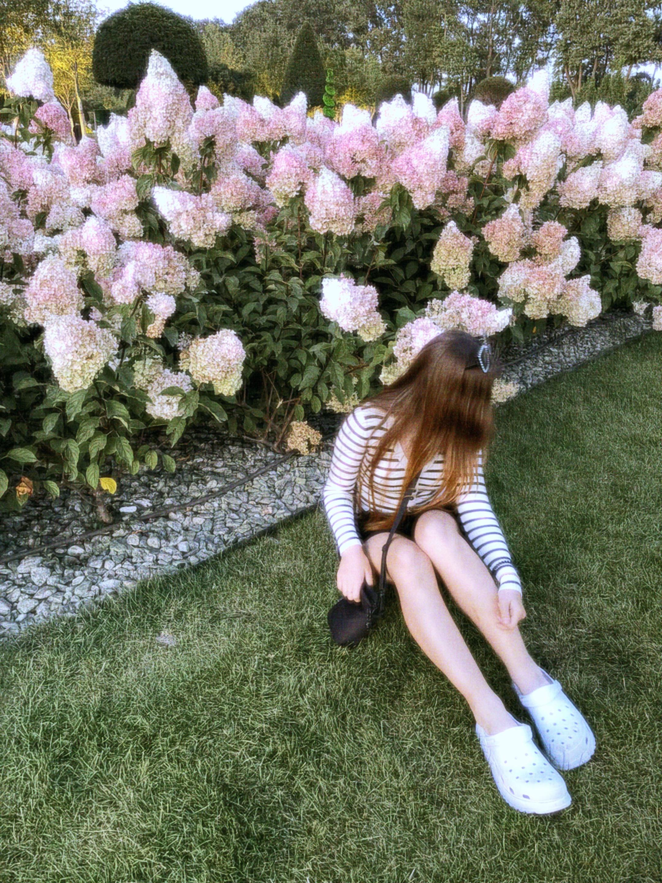 @викис
