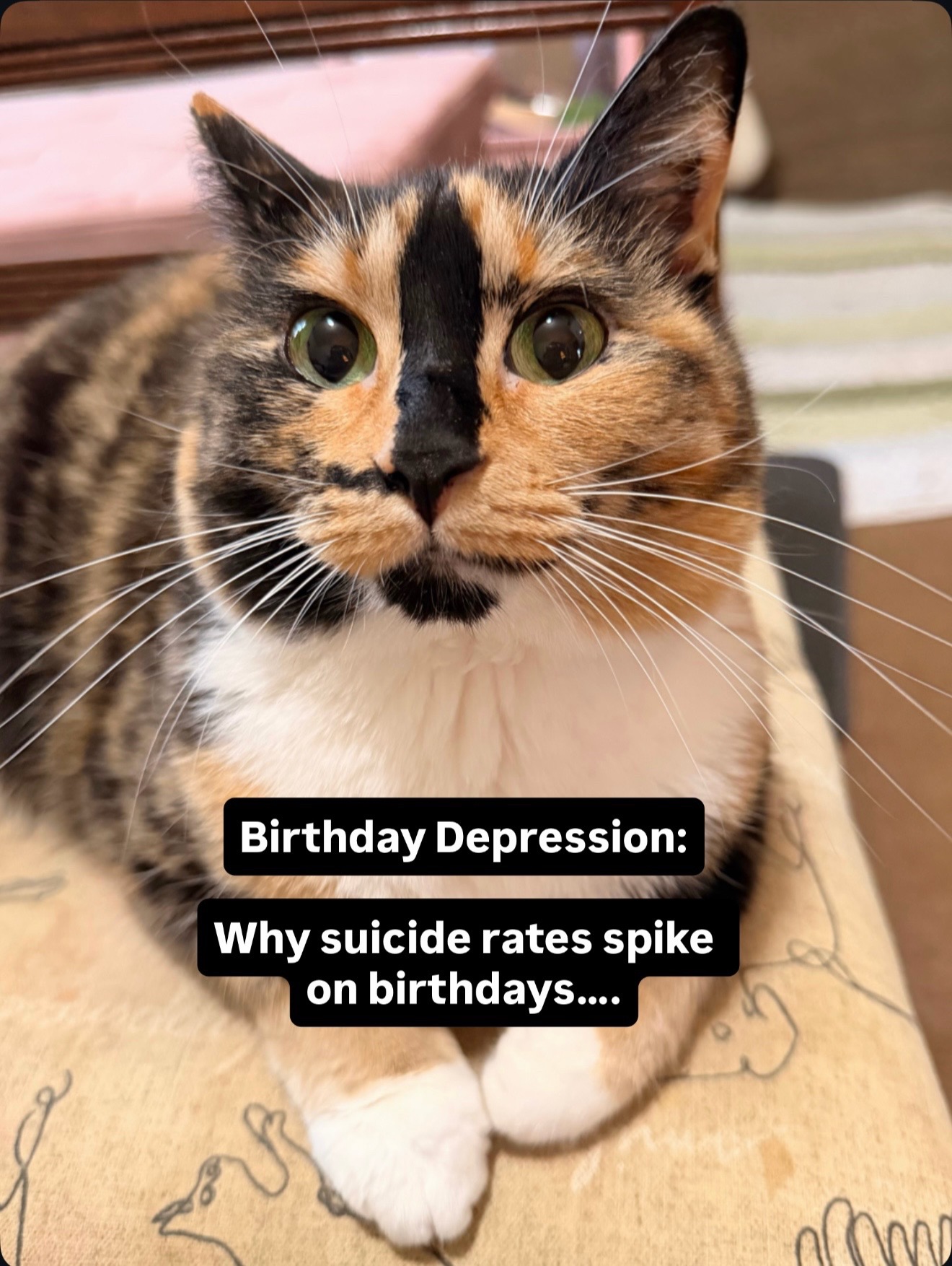 @SnickersTheSmilingCat