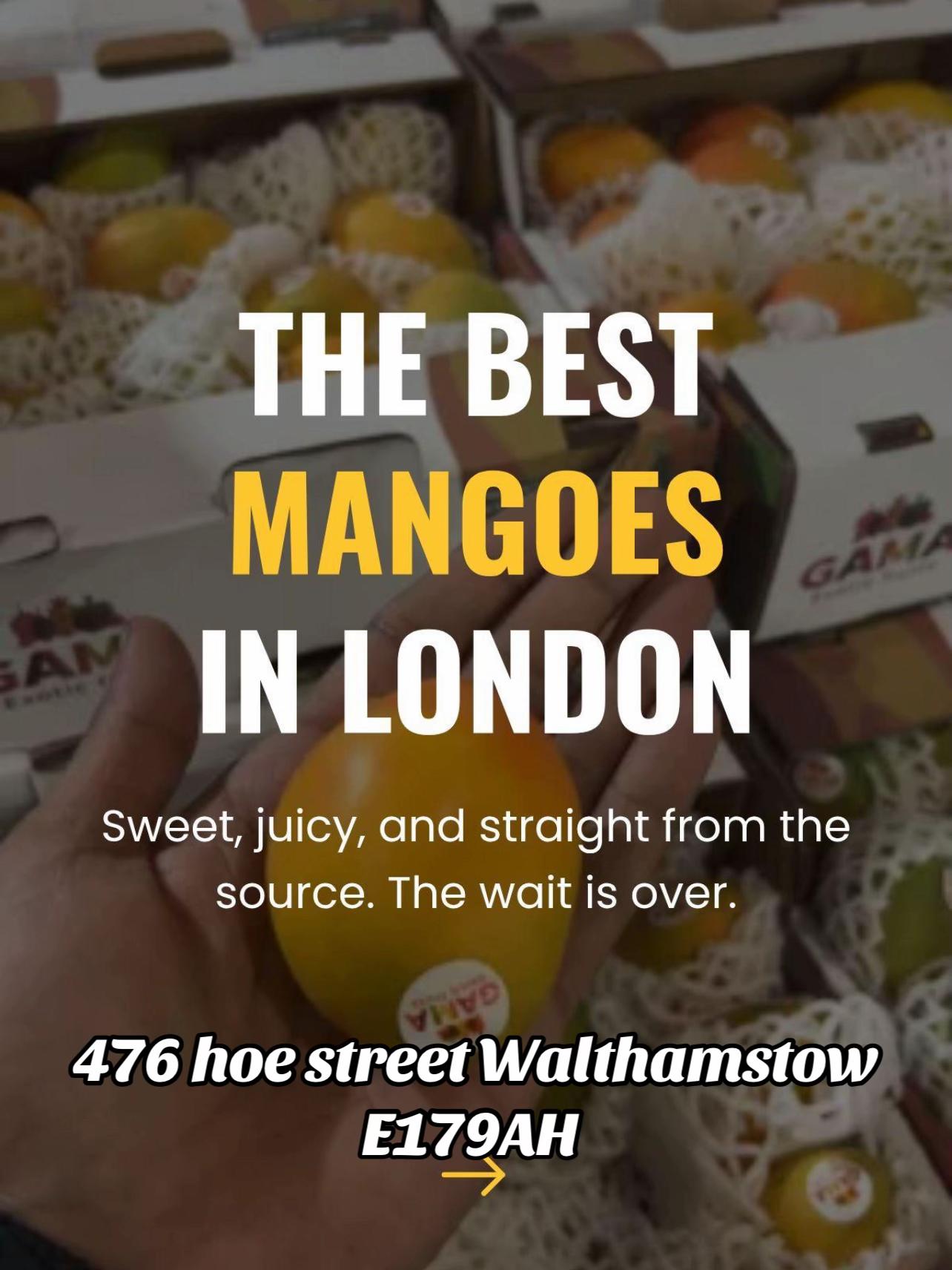 @Mango Man🥭