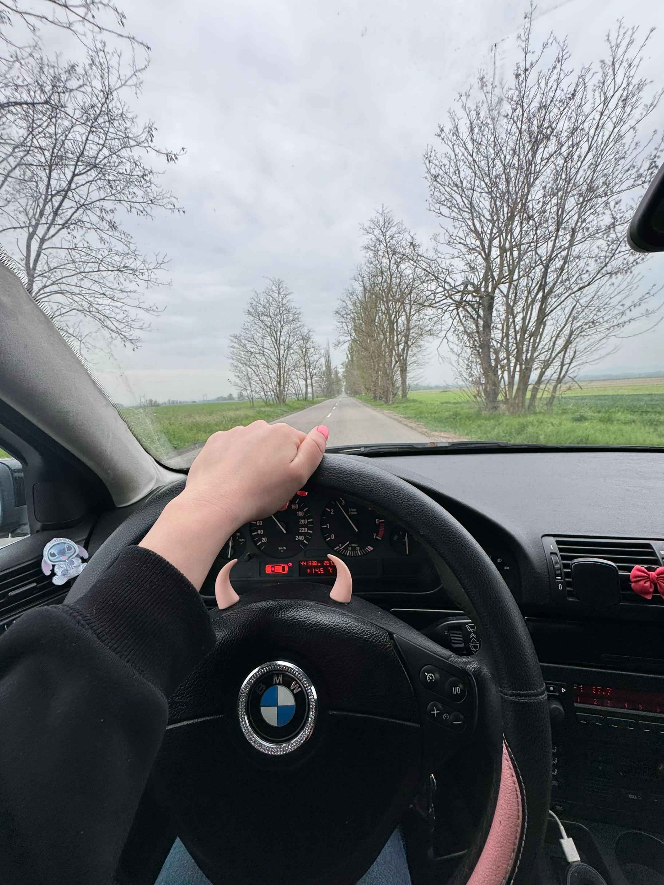 @Bimmergirl_e39