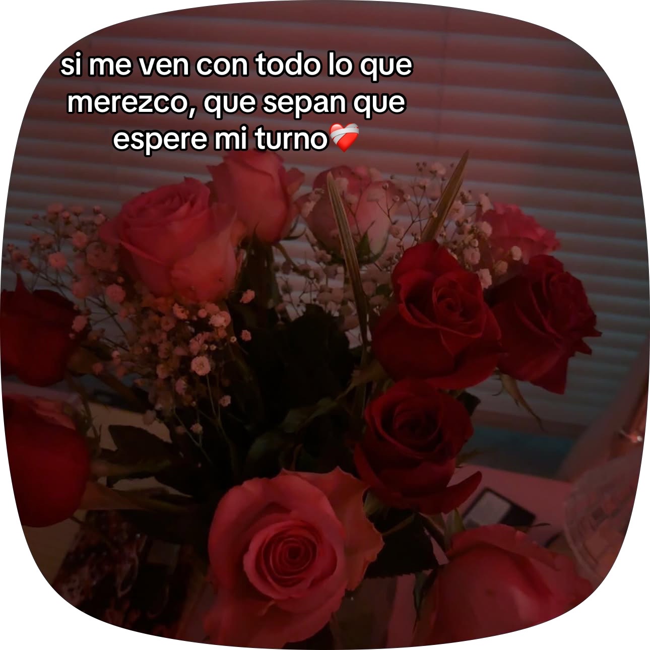 @Flavia_rubioo