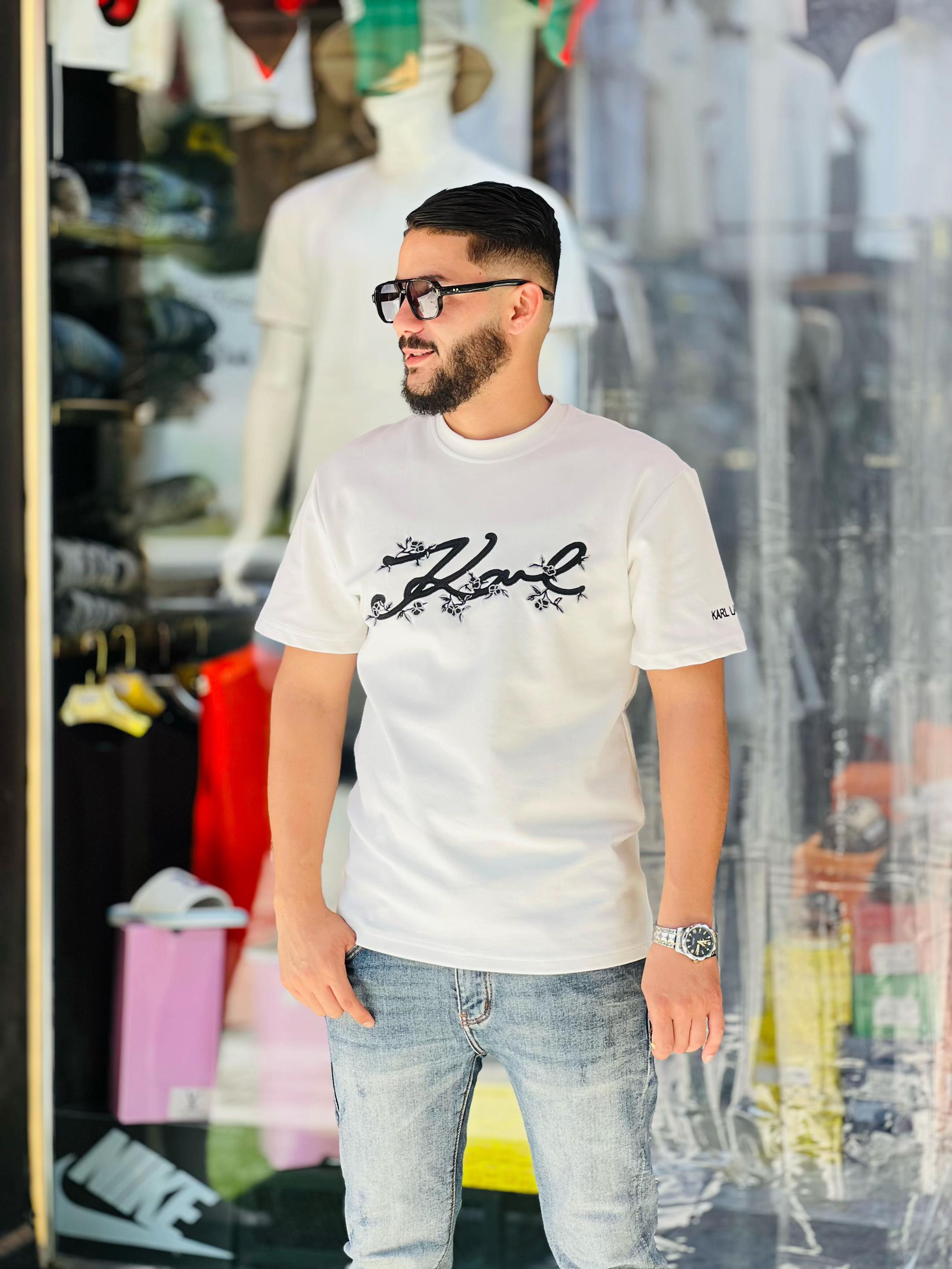@PaLERMO MODE .26