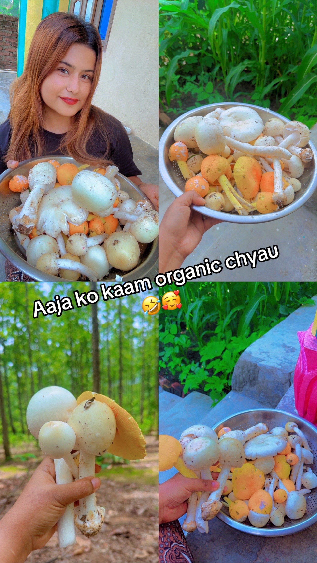 @angelina angel
