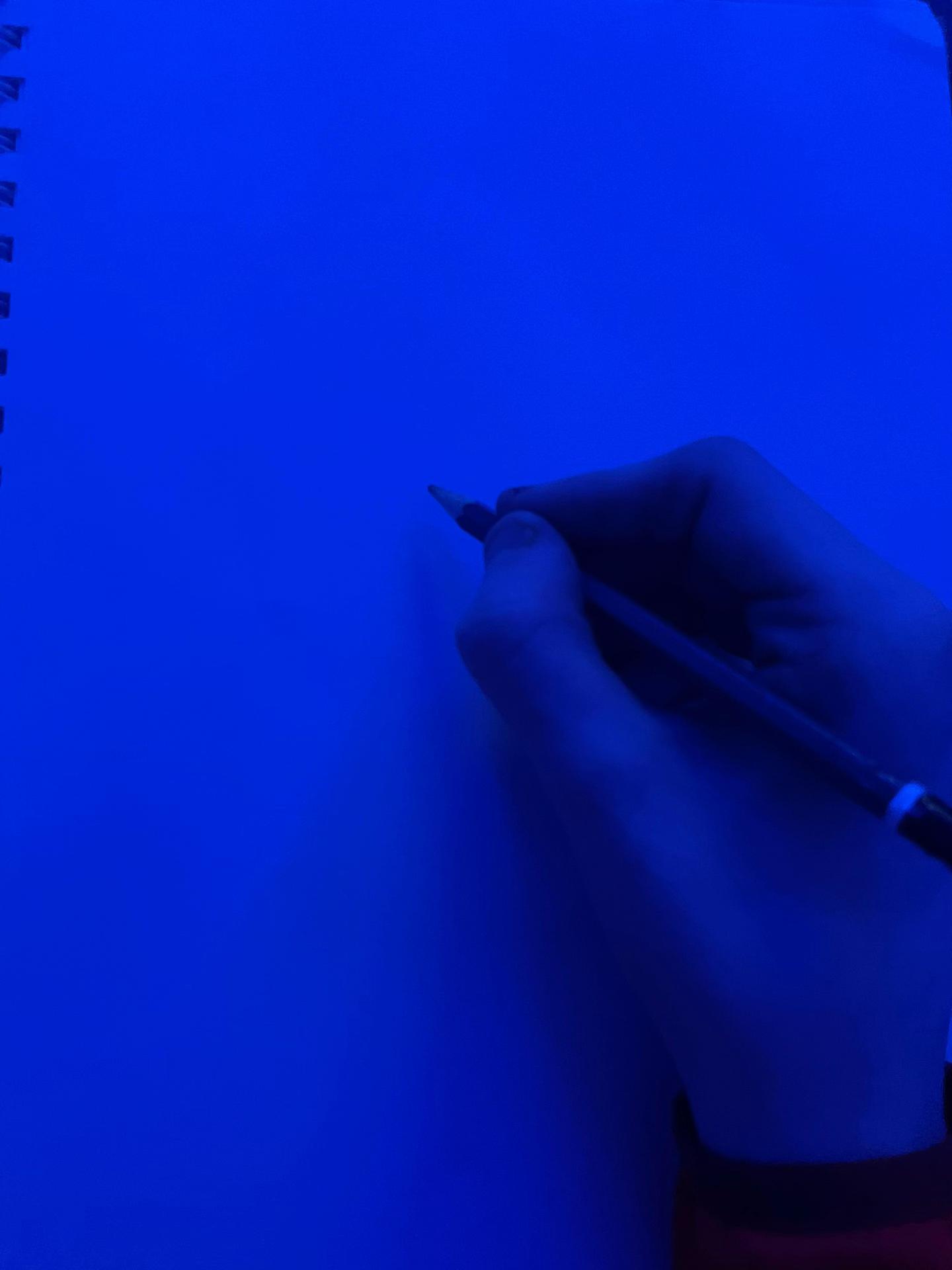@haydenj183