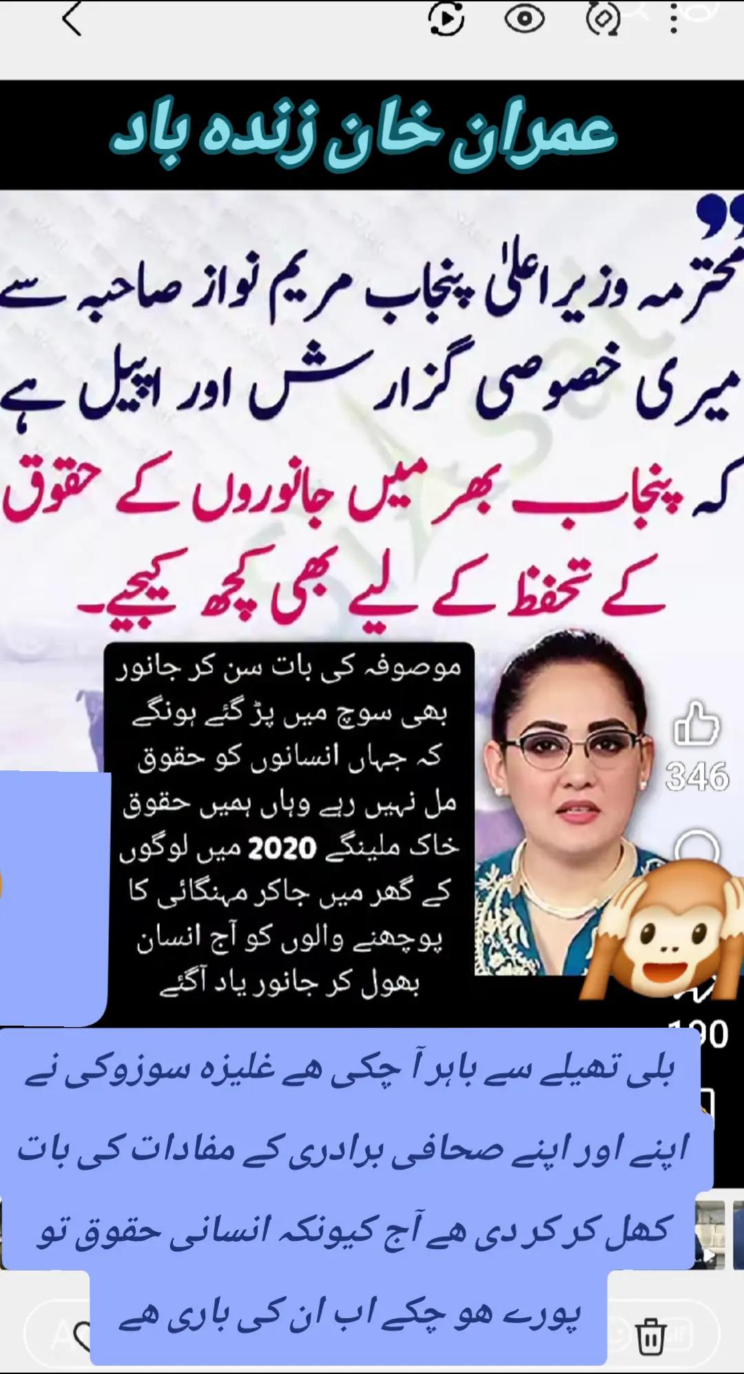 @اڈیالہ 804