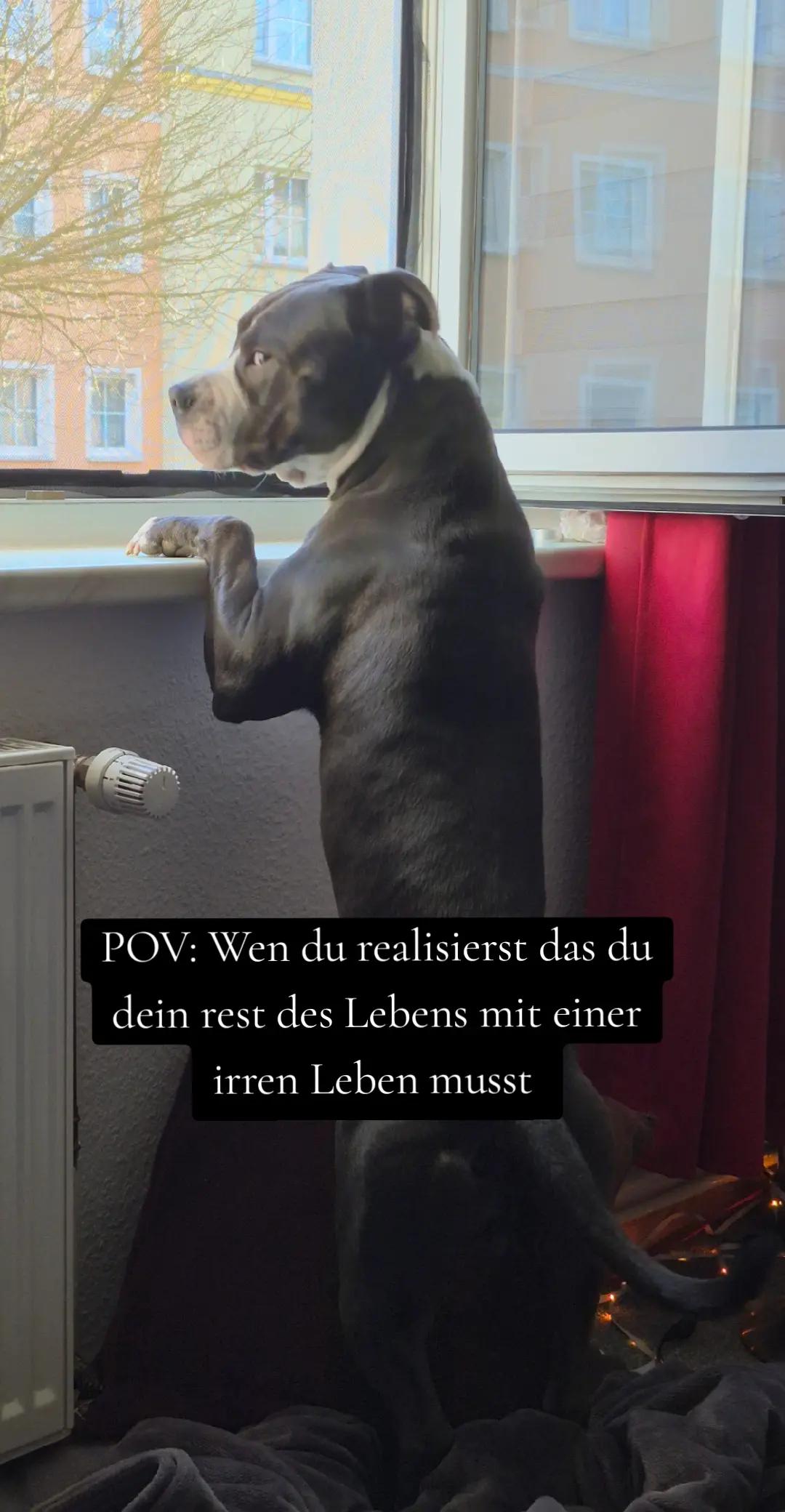 @_ankerweib_aris_