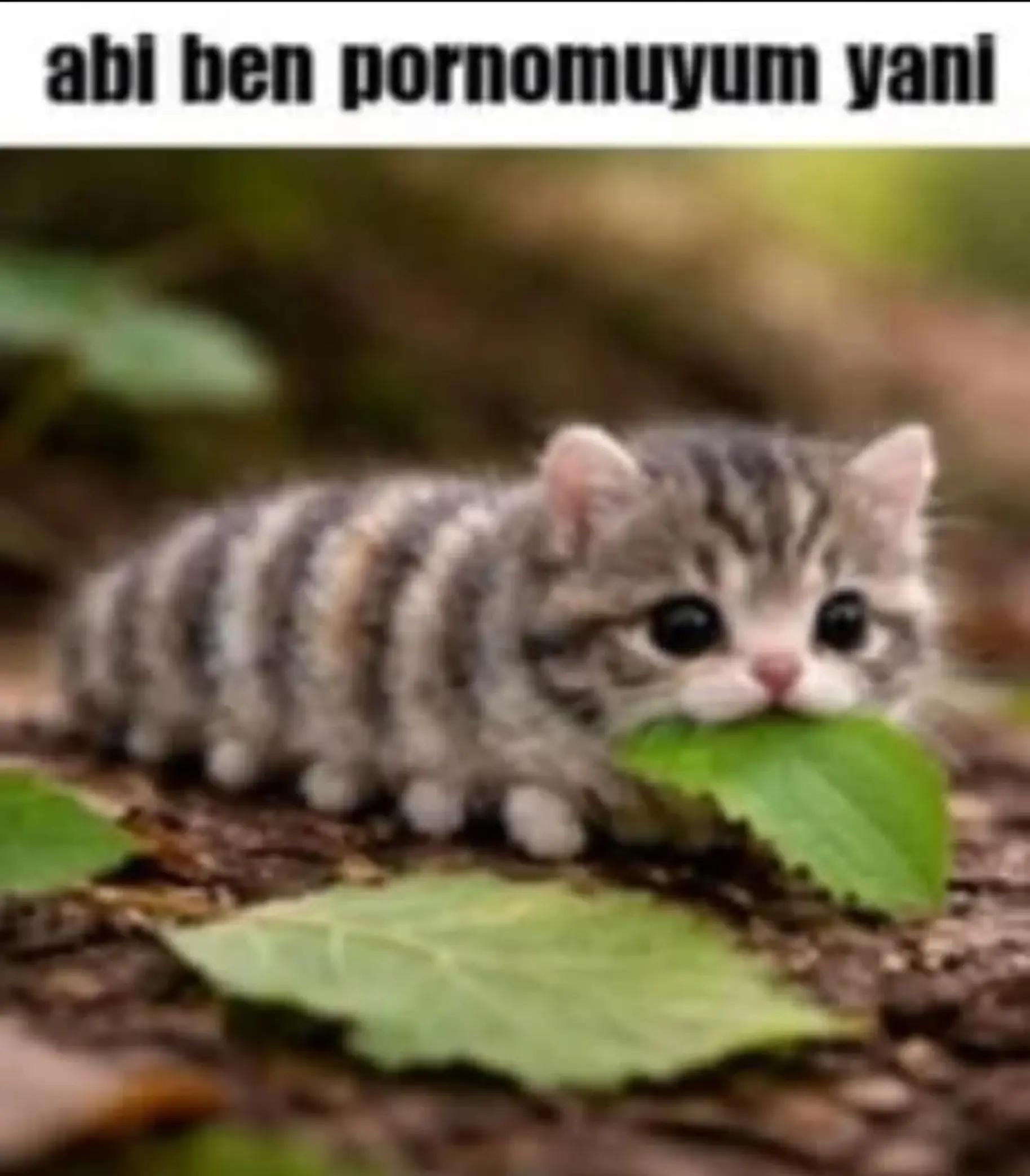 @Nuri