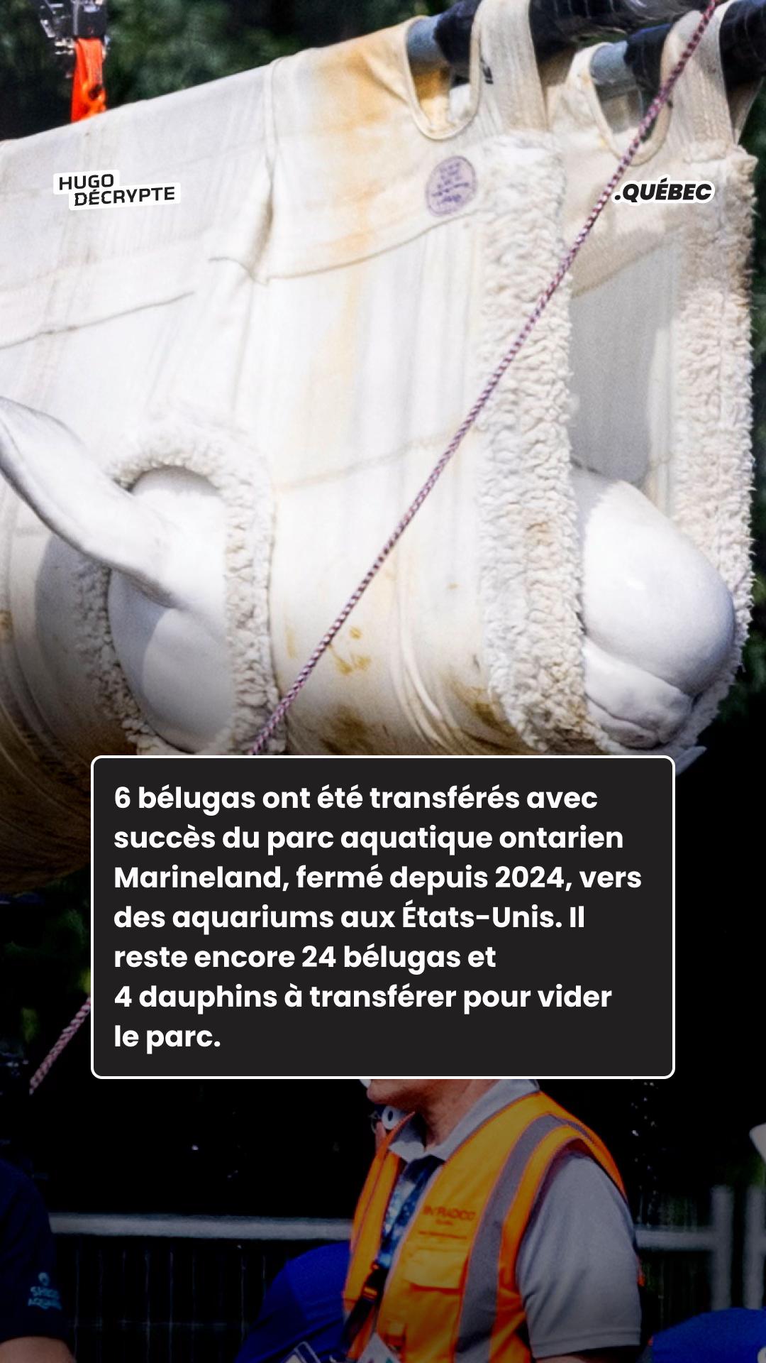@hugodecrypte.quebec