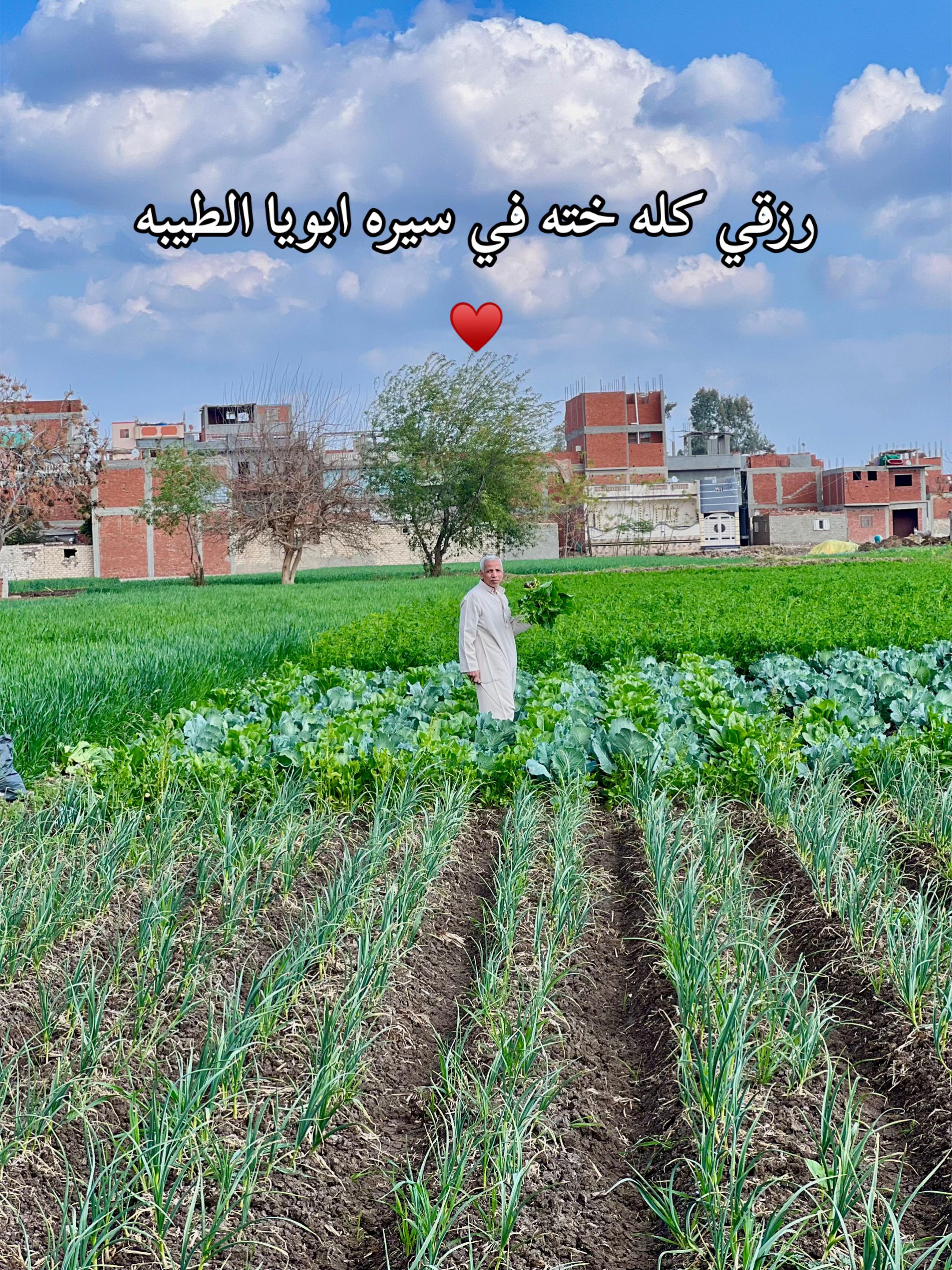 @﮼موسي﮼🦅🇪🇬