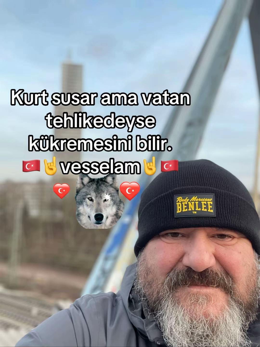 @dilavereryilmaz