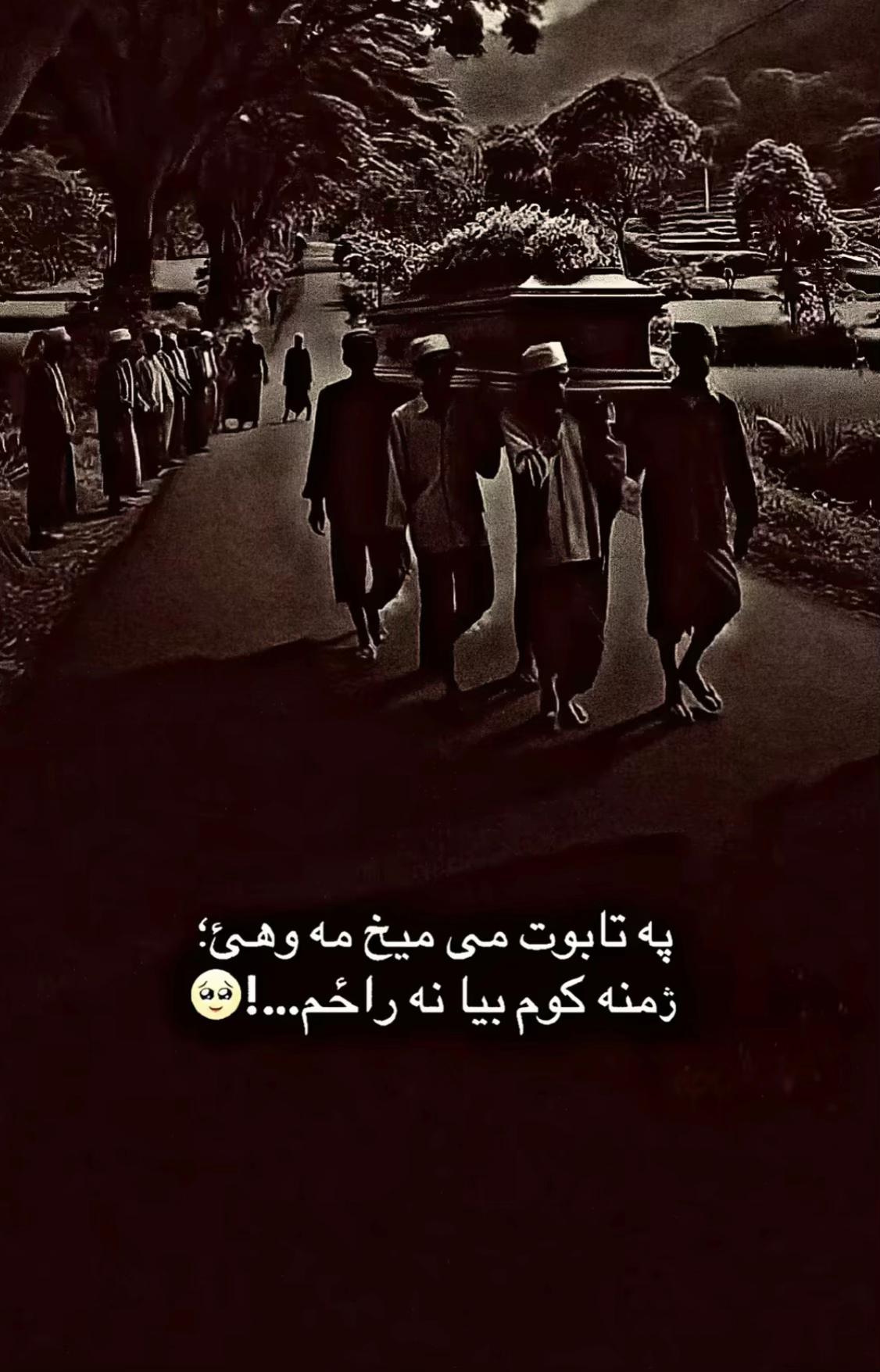 @N👀RISTANI. 111