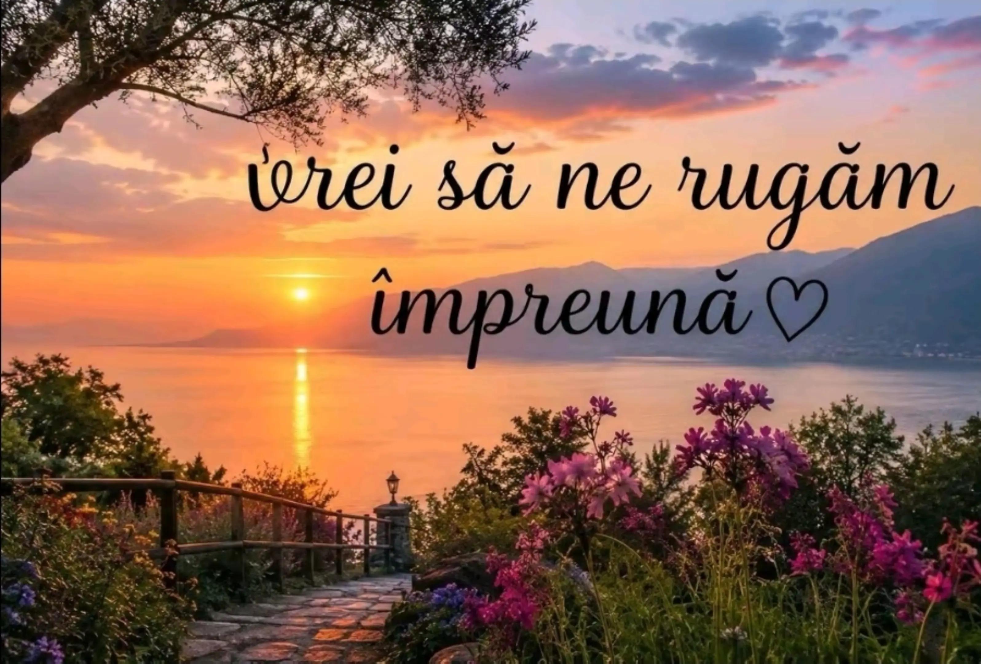@cristina