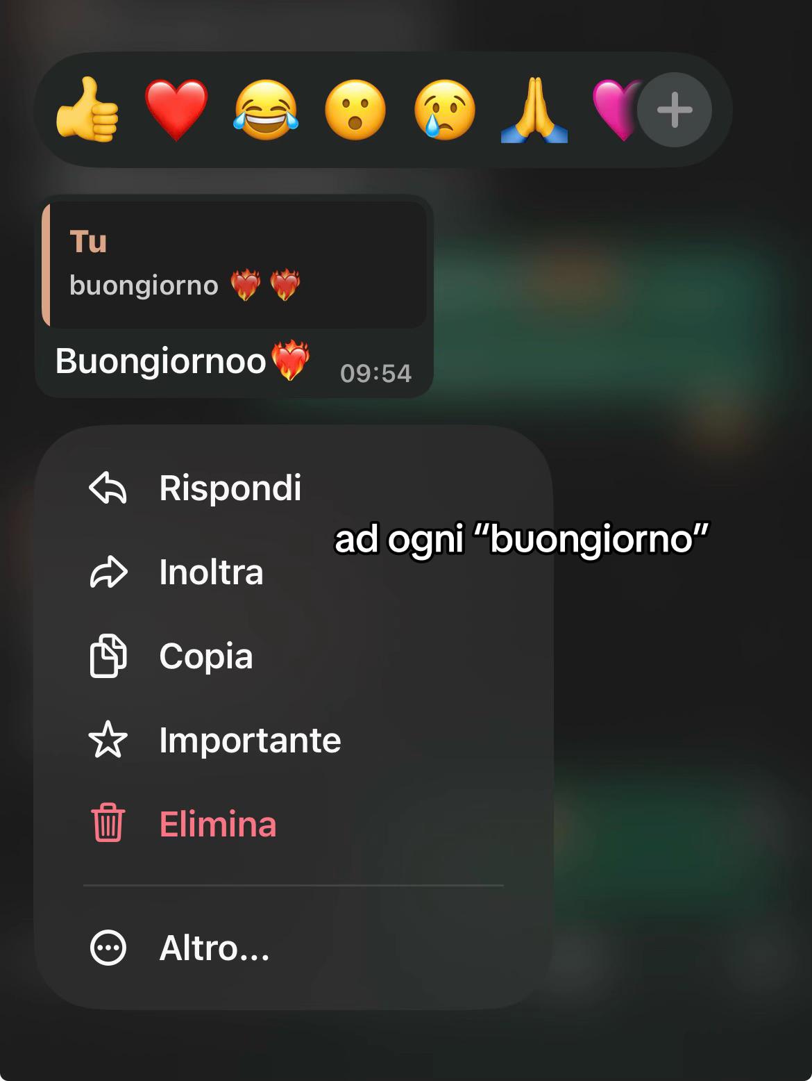 @violifil💓