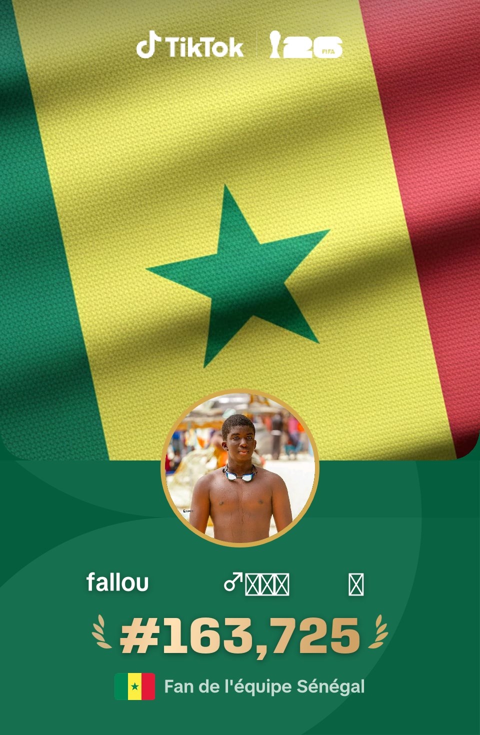 @fallou  🏊🏿&zwj;♂️🇸🇳💛💙✪☪