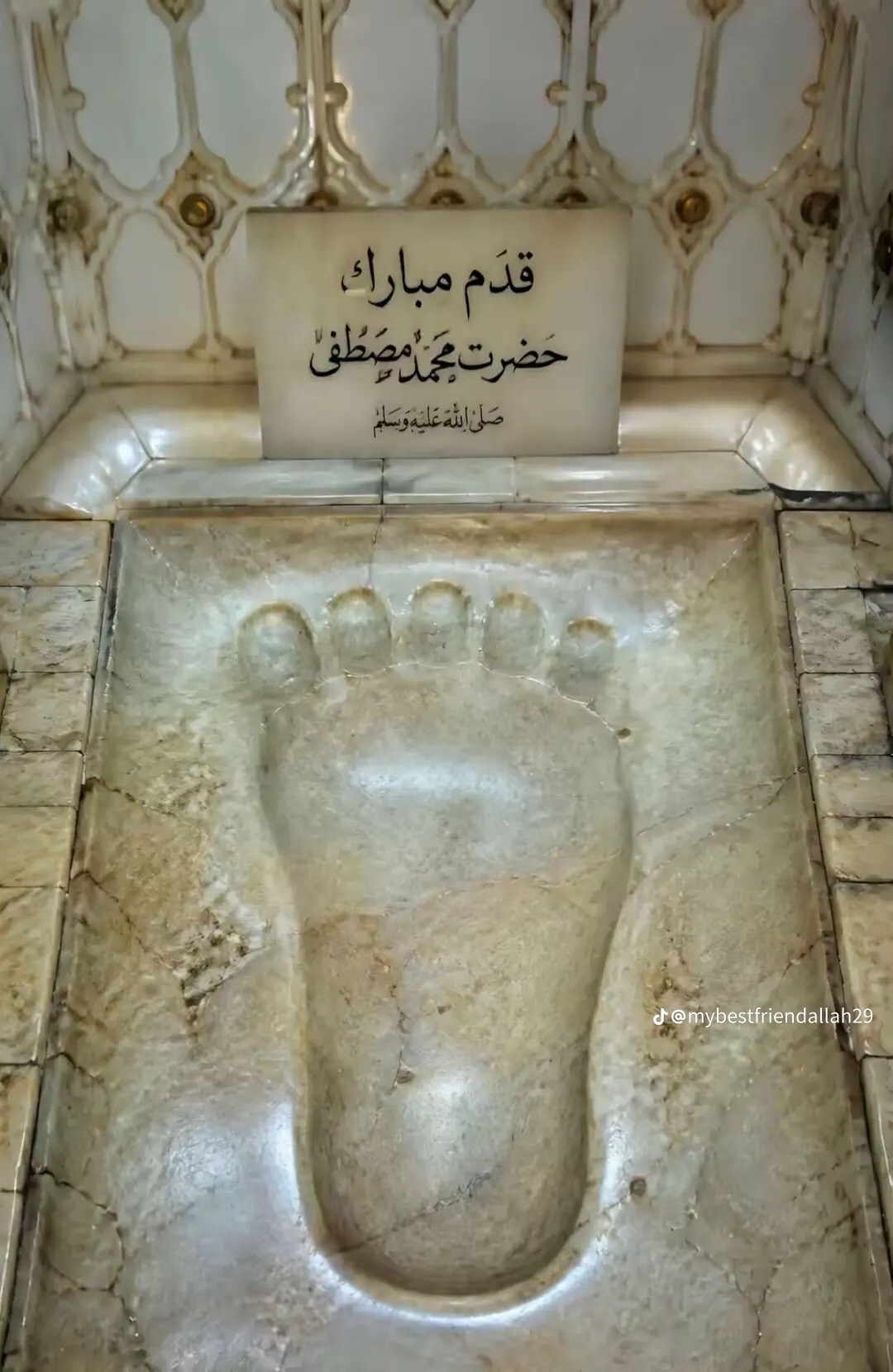 @Syed ali zaman gillani Qadri