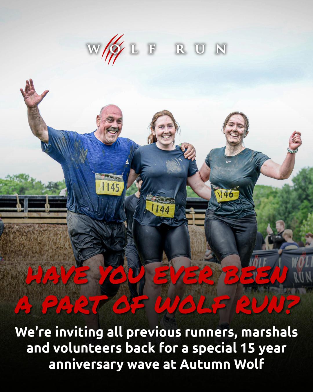 @The Wolf Run