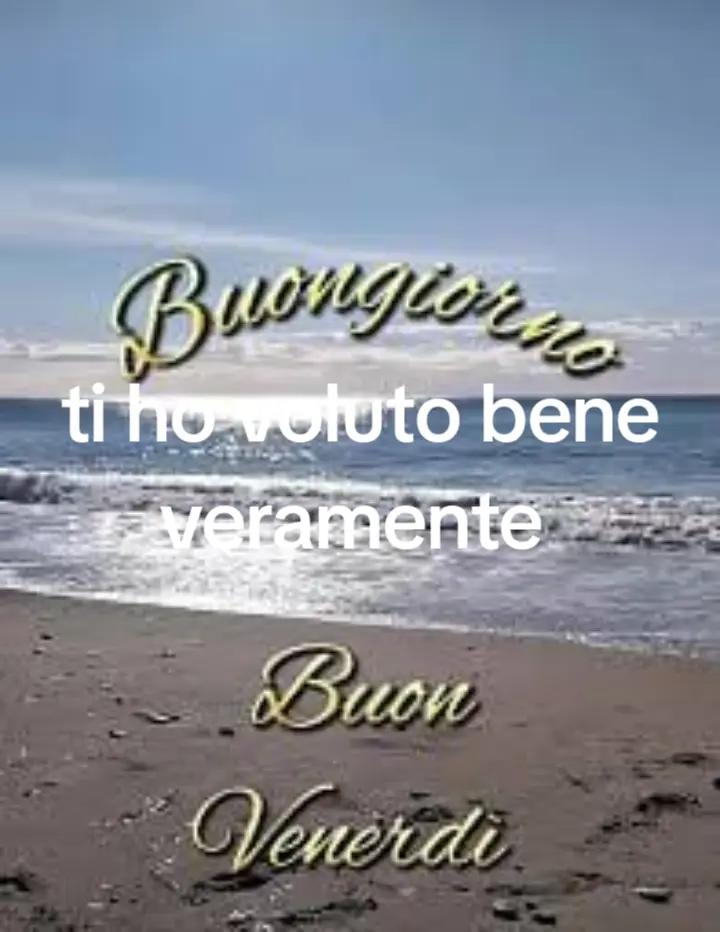 @alessandramarchi726