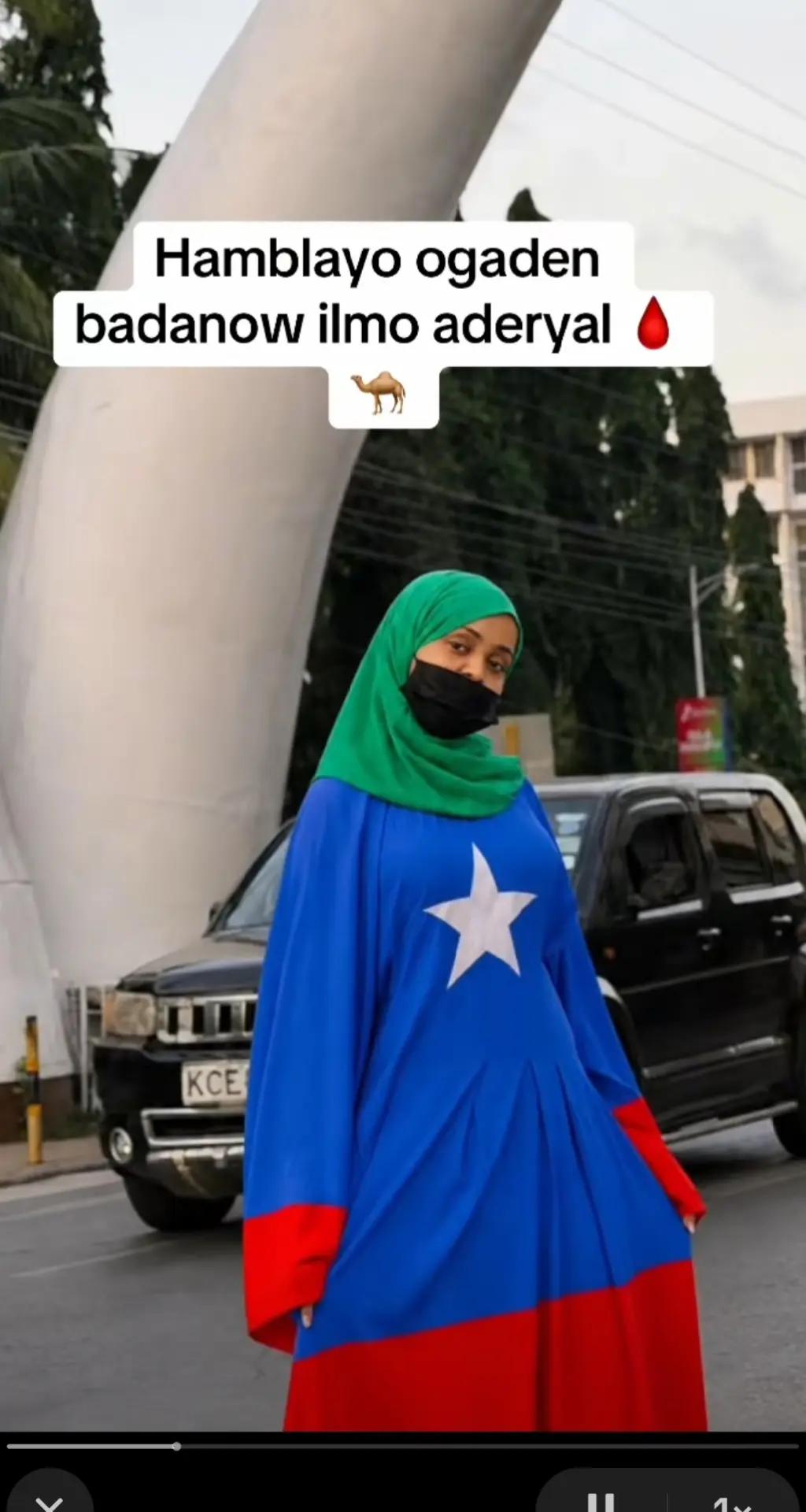 @UGAASKACOWSHAQANI 🇬🇲