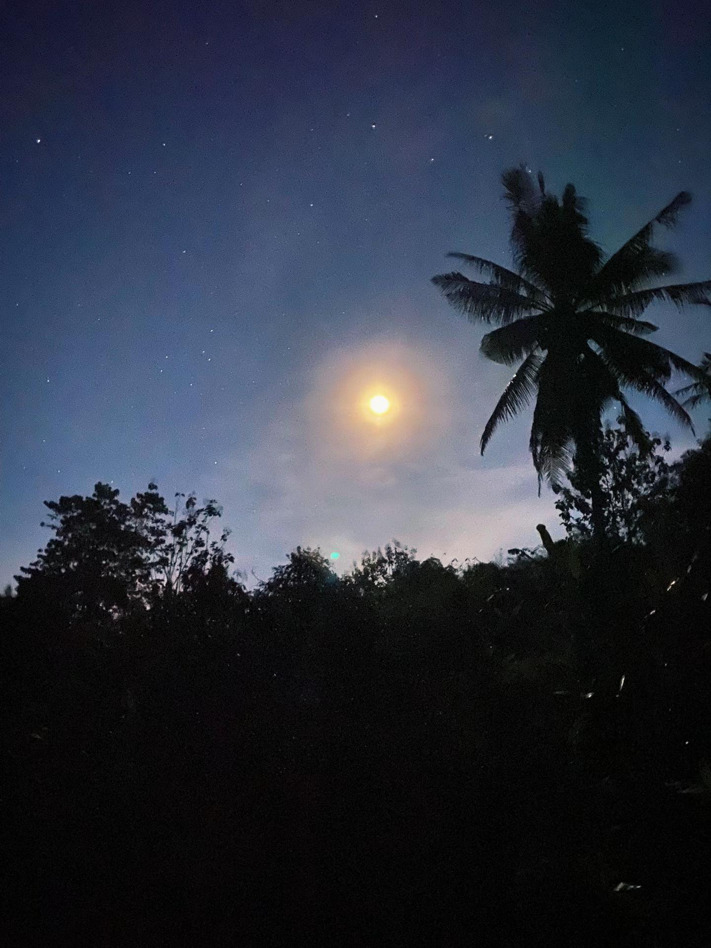 @moon'x