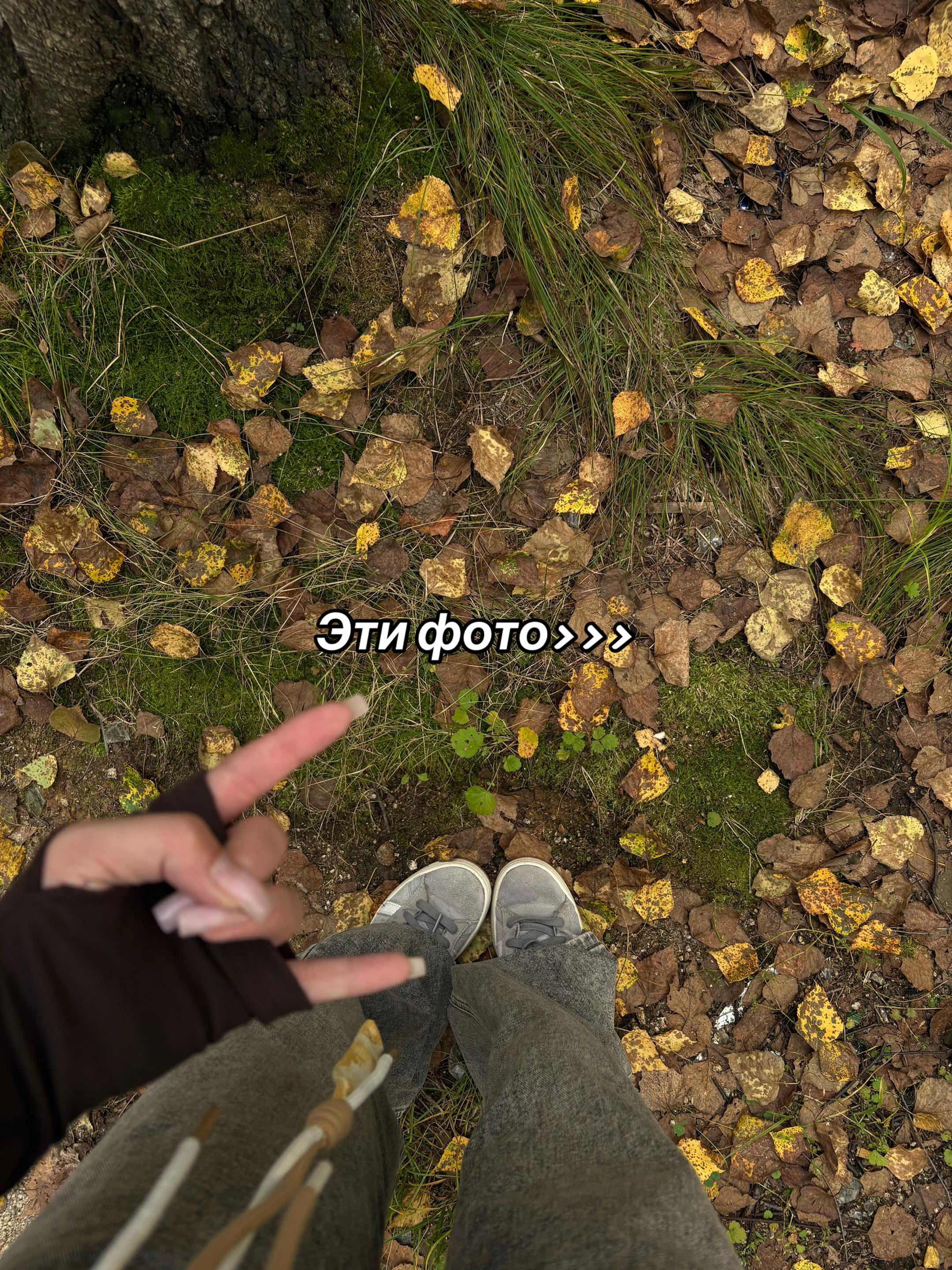 @🌻МИШЕЛЬ🌻