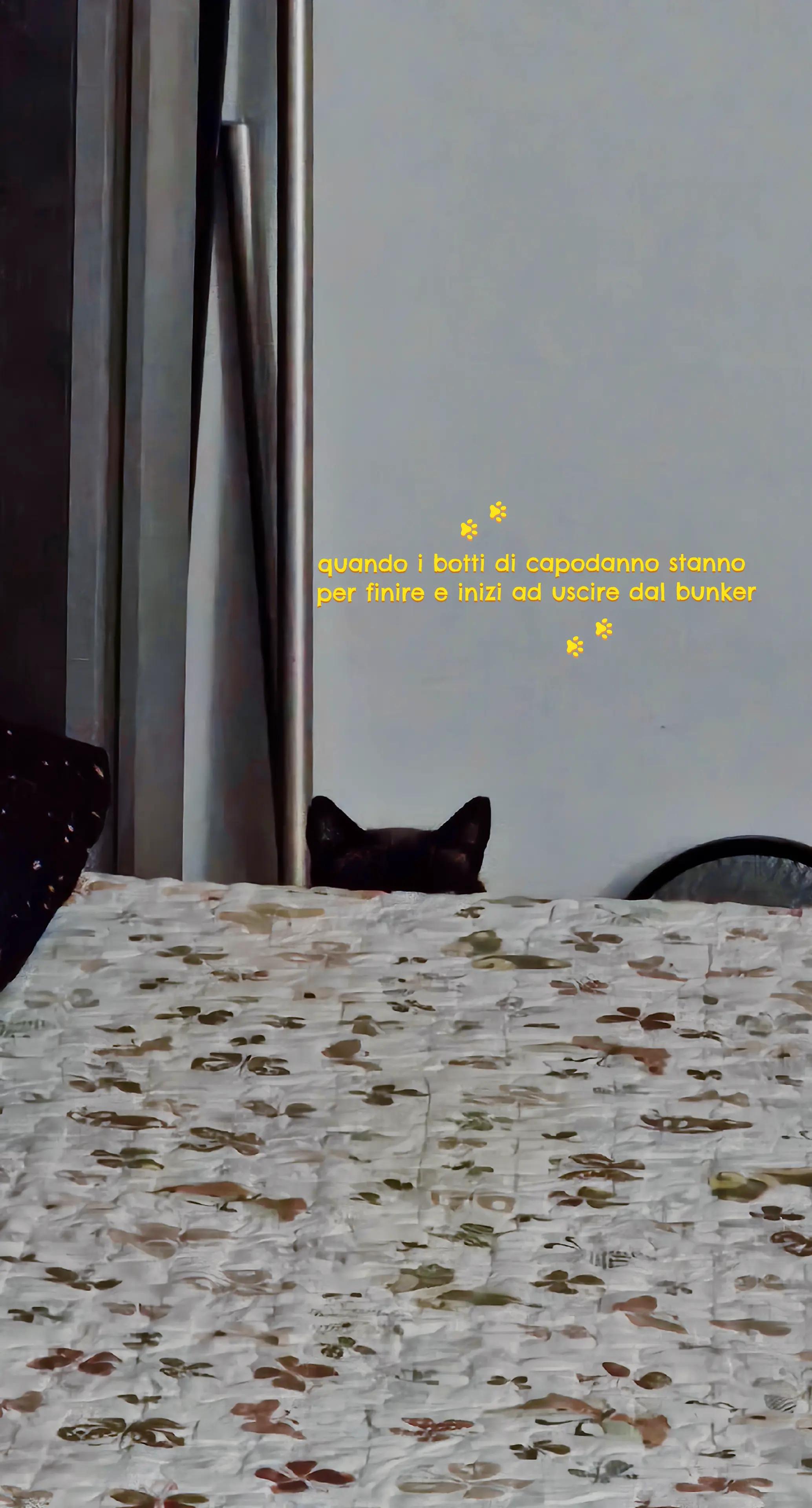 @-ˋˏ ༻ƮყꙆᥱɾ917༺ ˎˊ-