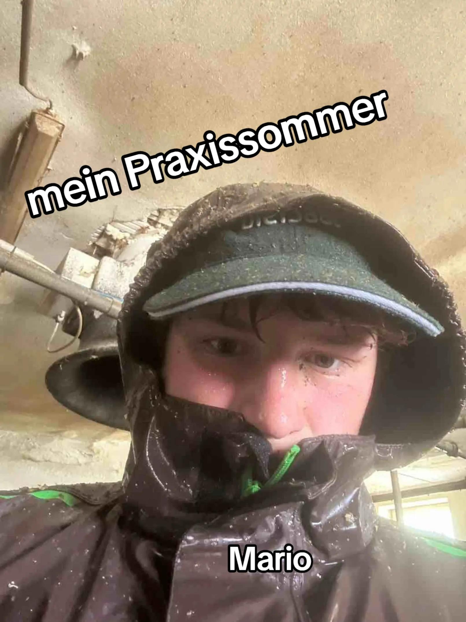 @LFS Hatzendorf