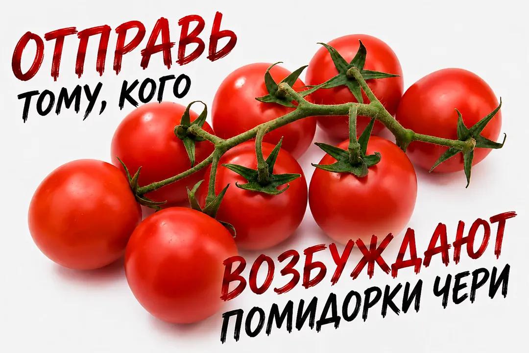 @iндiкцiя