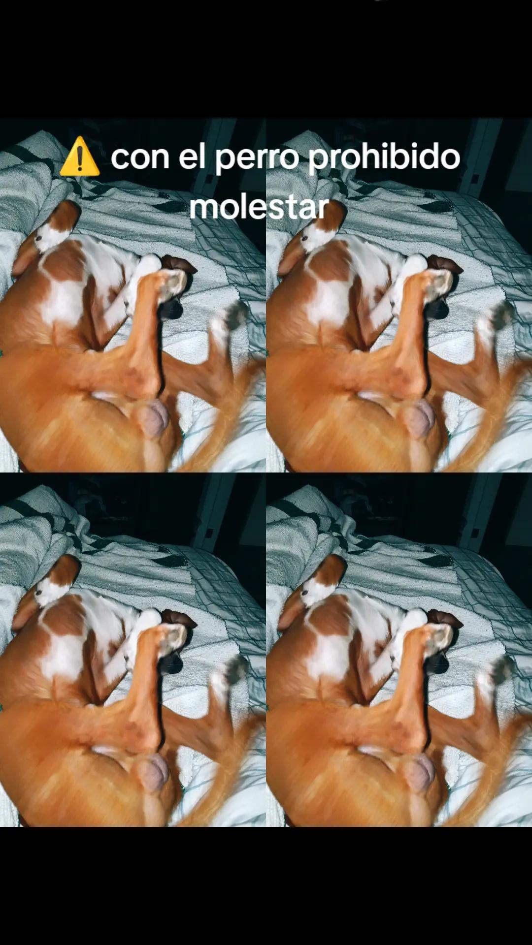 @M E L L Y