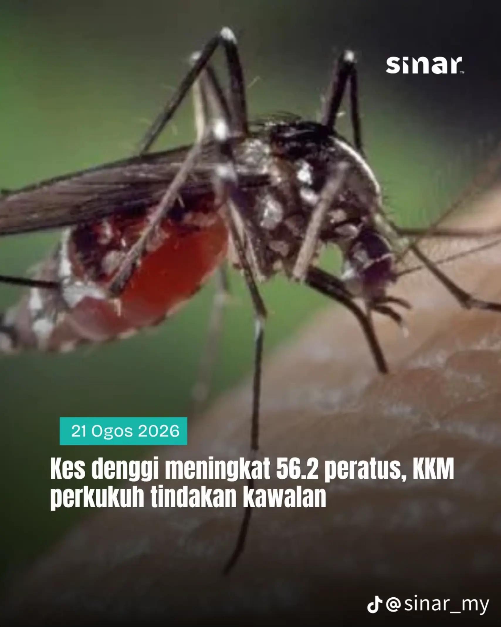 @SYURGA DUNIA
