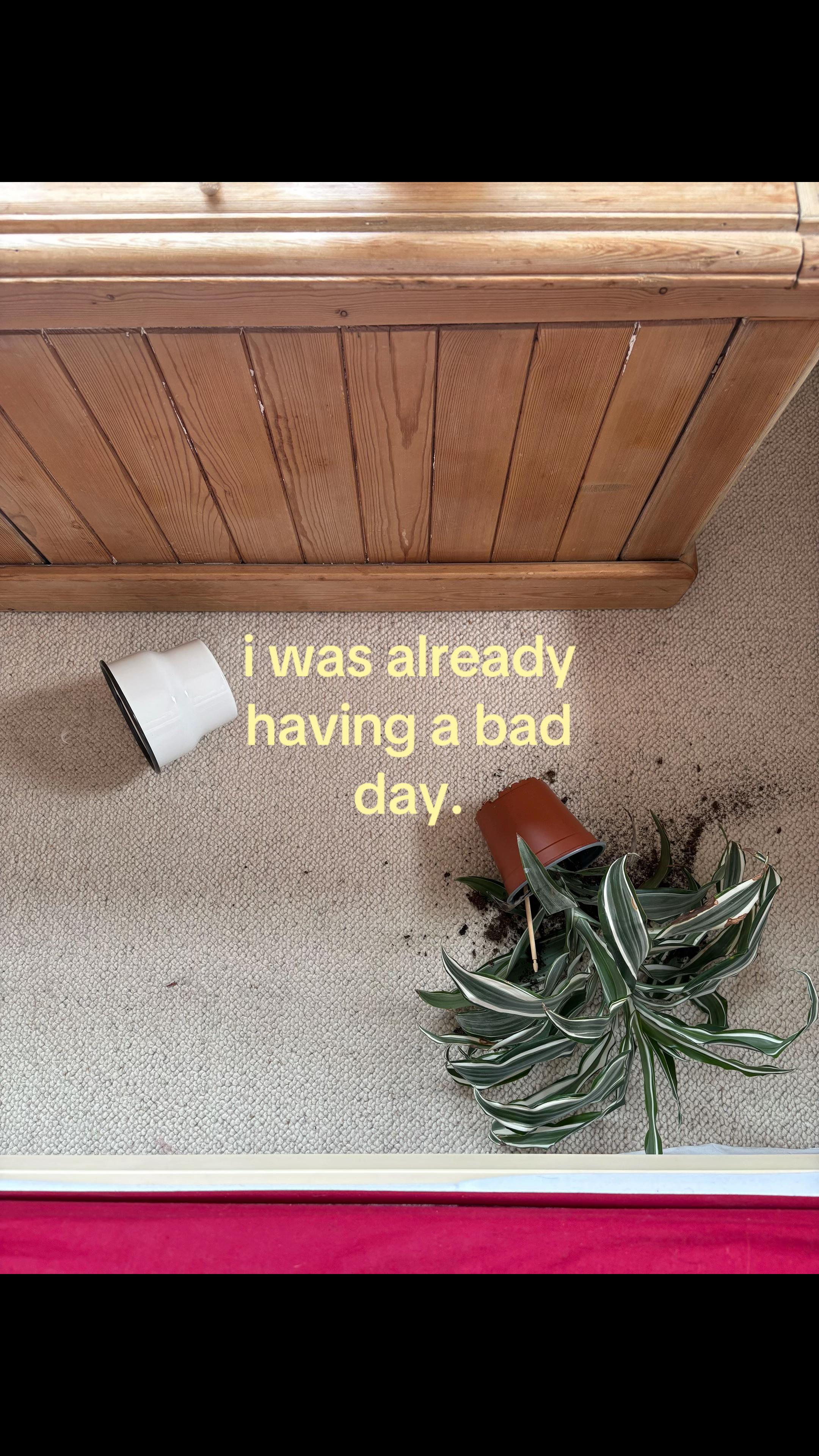@chirhymeswithtea