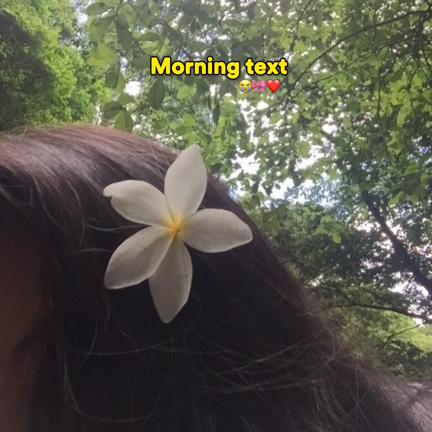 @wtf_muqiw