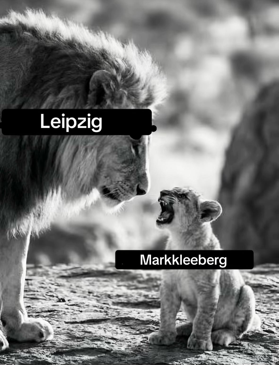 @Junge Liberale Leipzig