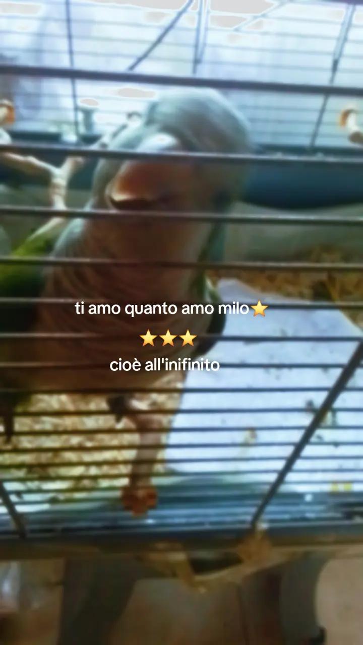 @✨💚🌸Martina🌸💚✨