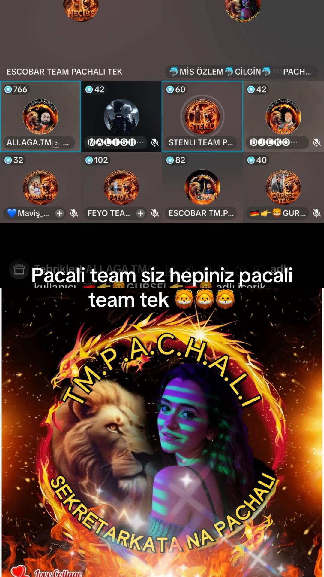 @🐬MİS ÖZLEM🐬CİLGİN🐬™️PACHALİ