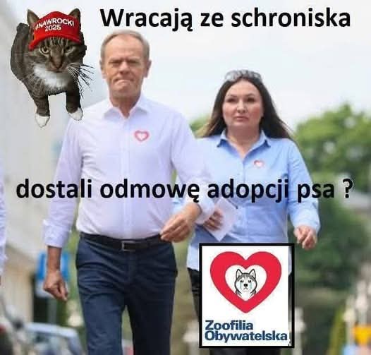 @fazolpolska