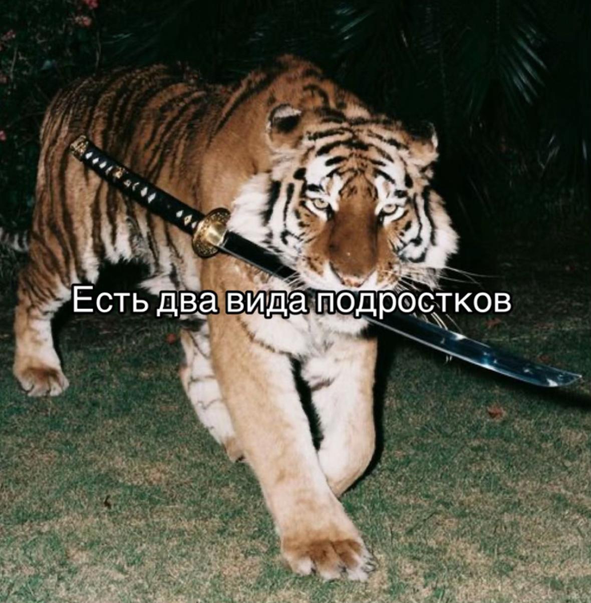 @Лысый