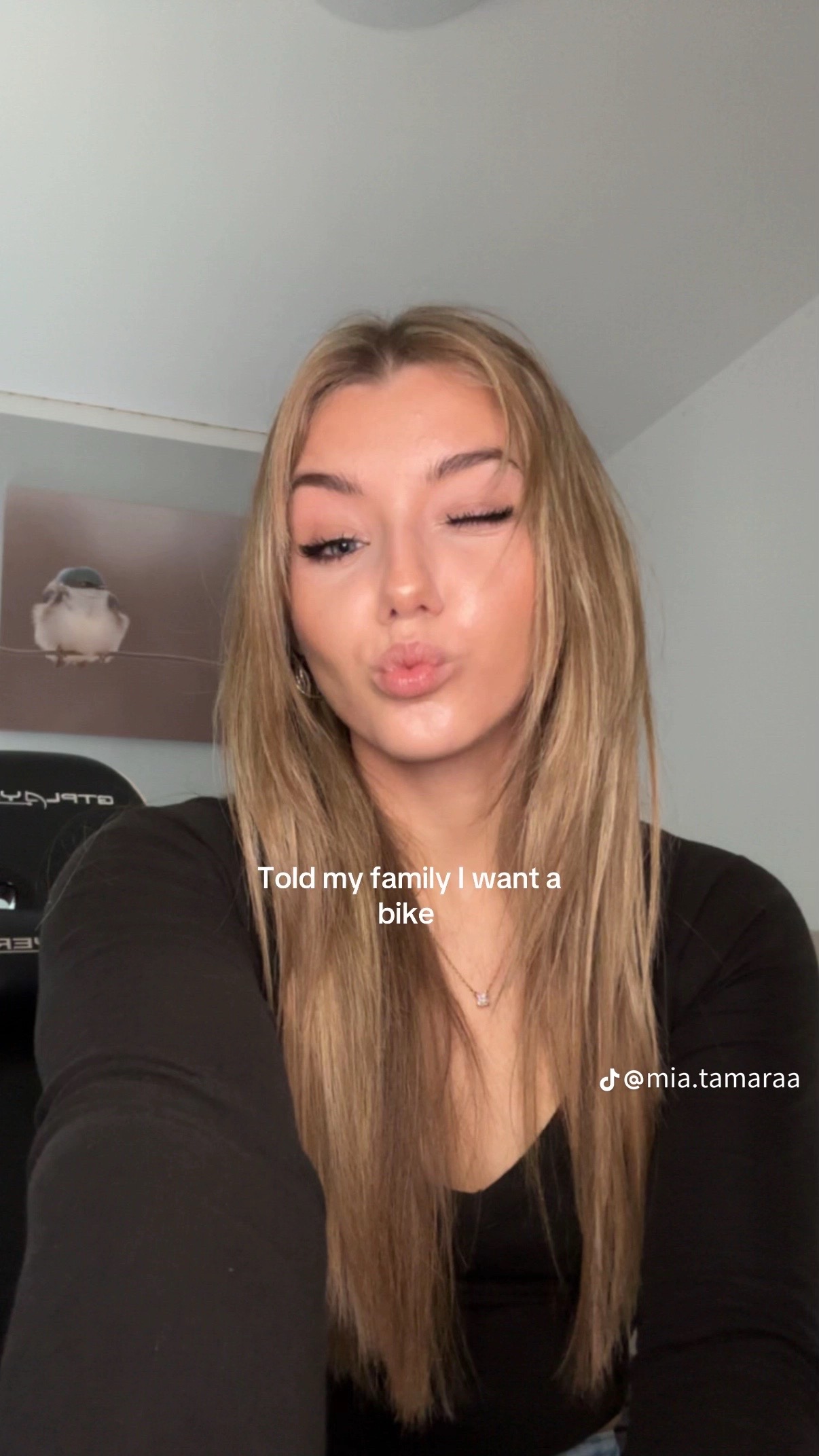 @kadenceking3