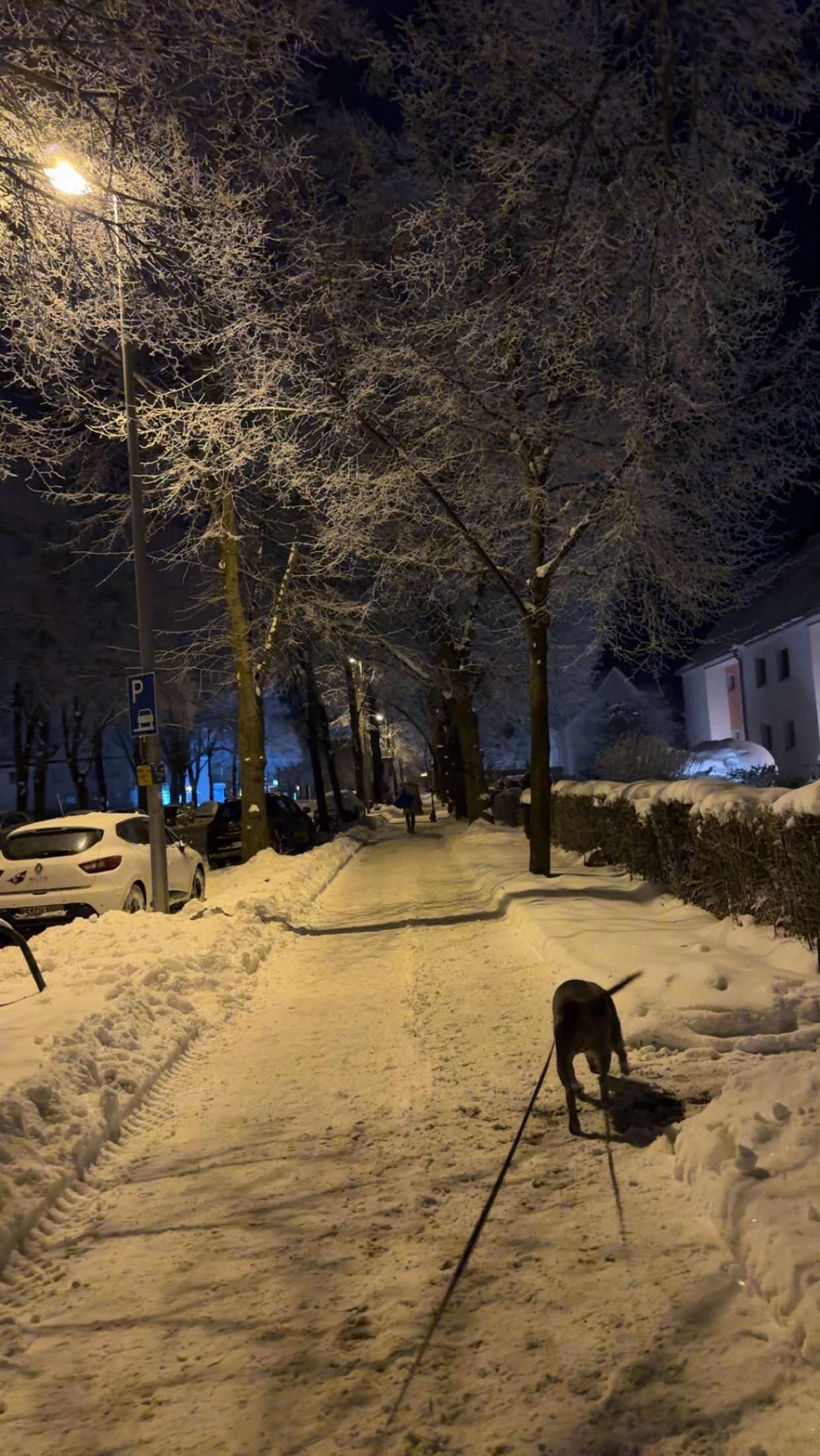 @Amer Krusevci