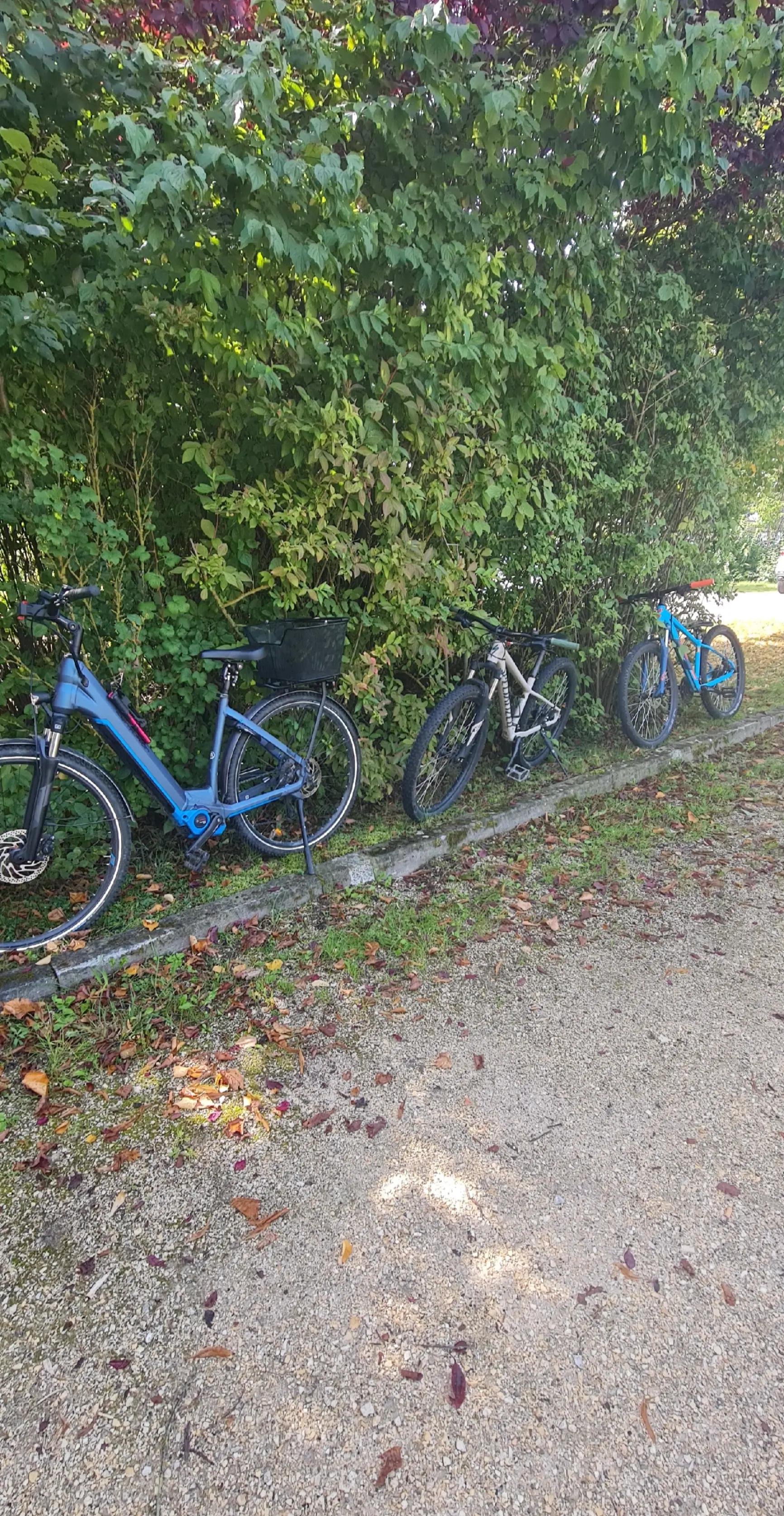 @Noel