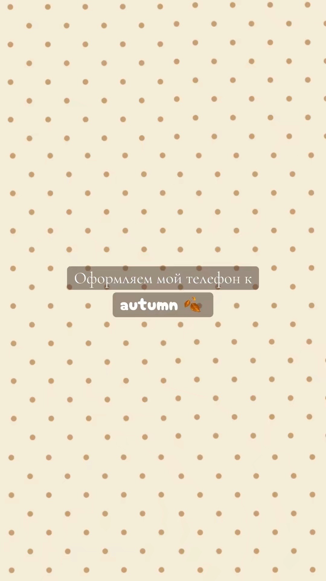 @𖾕𖾝꙼ᩚ𛲕𖾟⋆˙kissie ⋆. 𐙚 ˚
