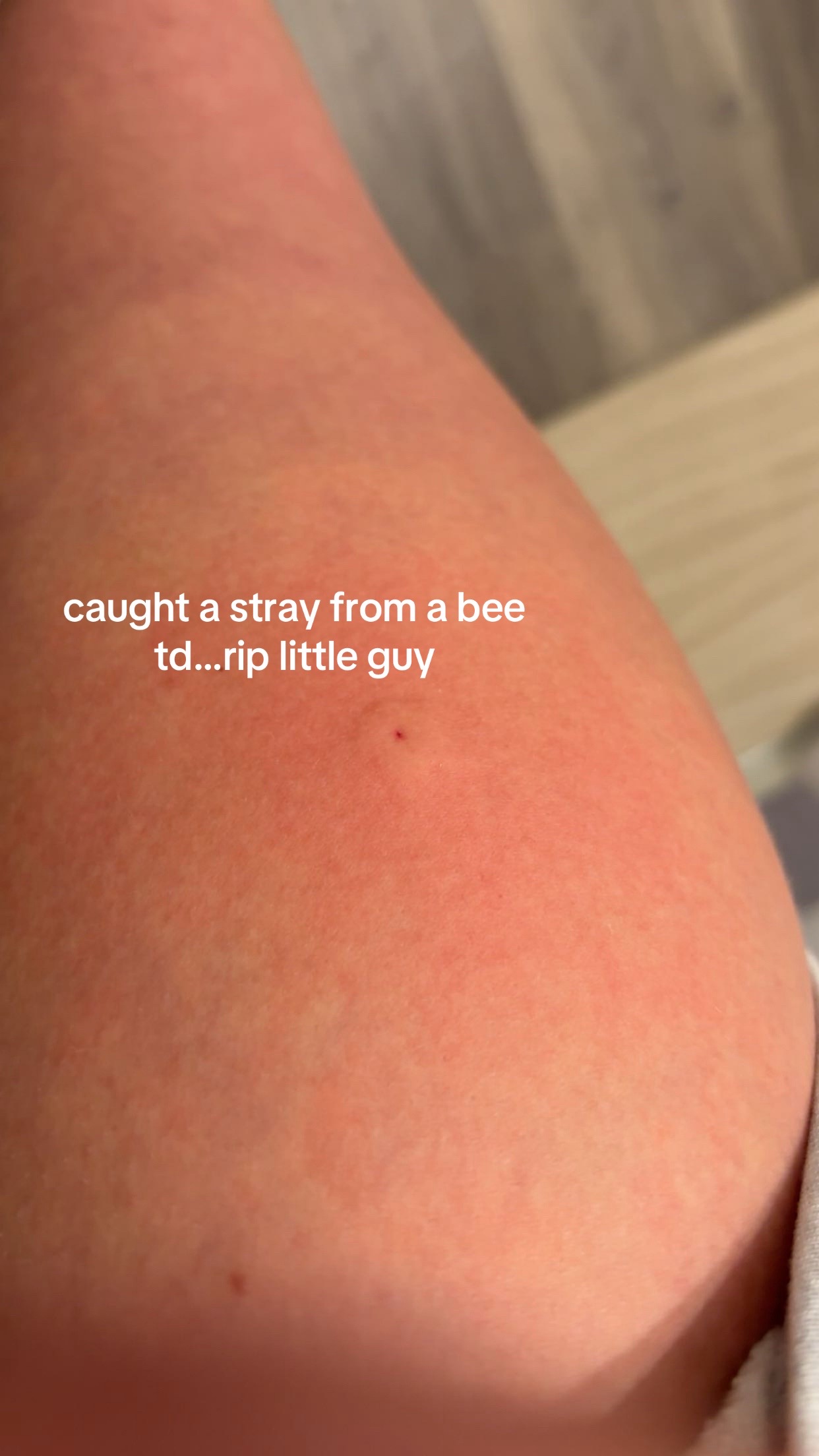 @Ella