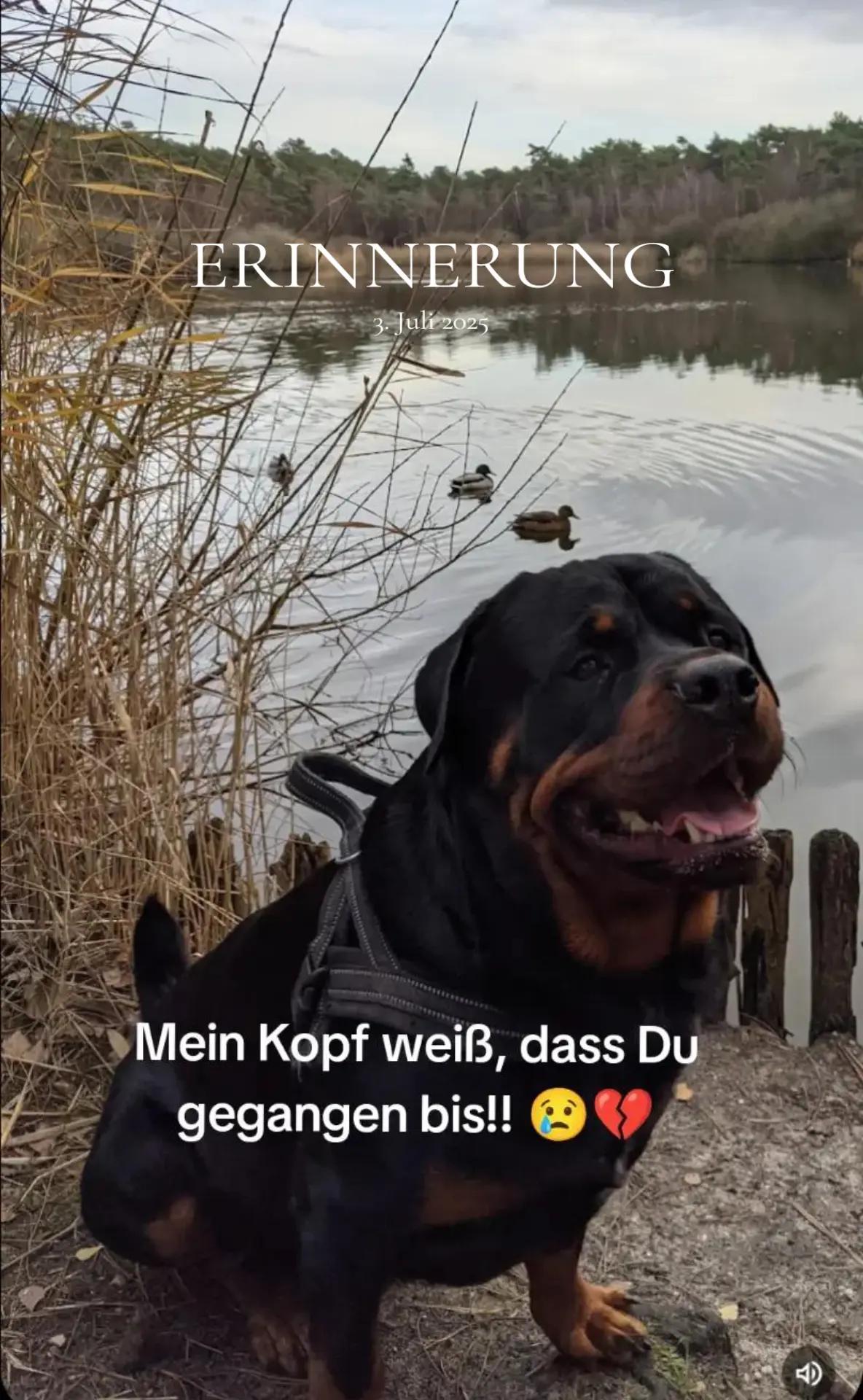 @Nicole❤️Schröder🖤Kowalski ❤️