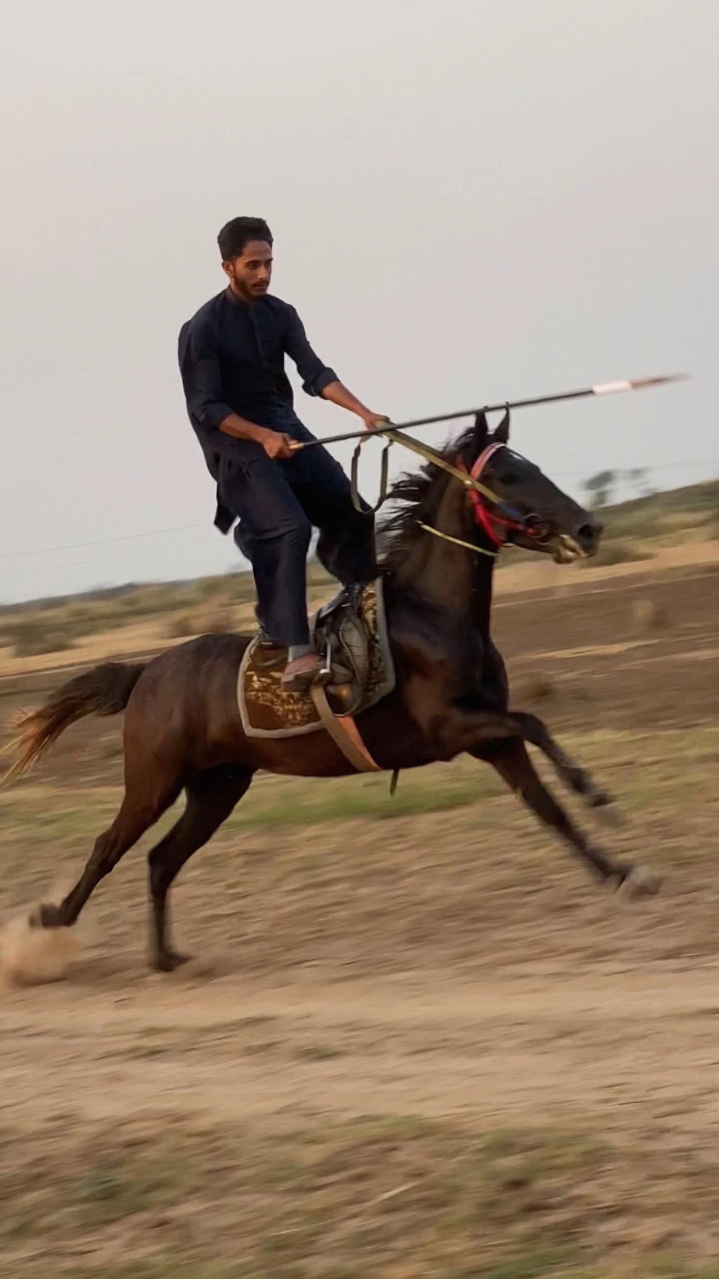 @Ch Hammad bokan &hearts;️🐎
