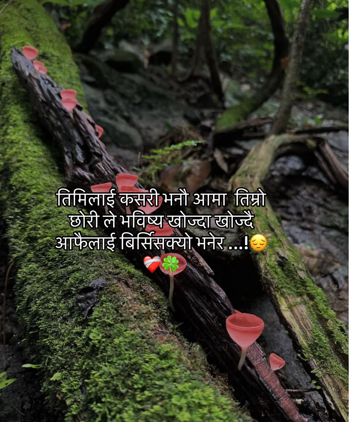 @Ms:Gurungni🫶❤️&zwj;🩹