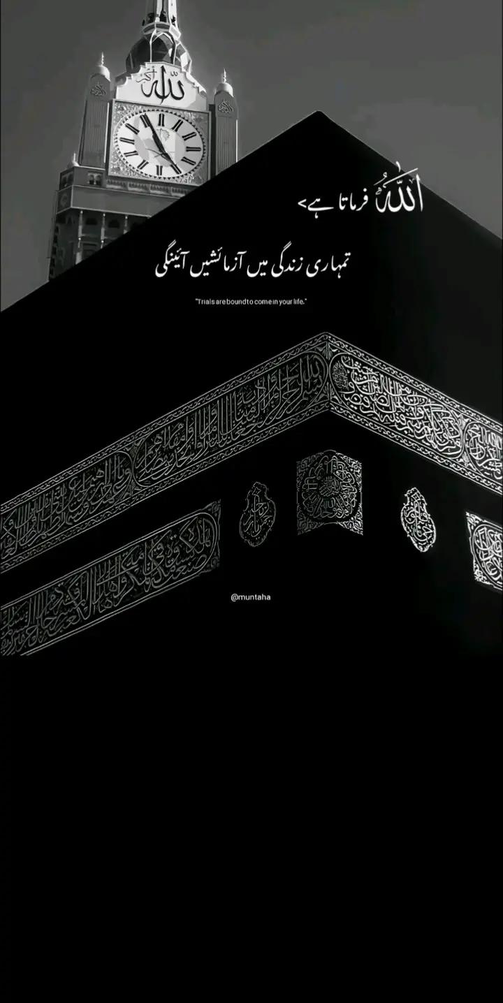 @muntazir.vafadar♥️👑🇬🇧