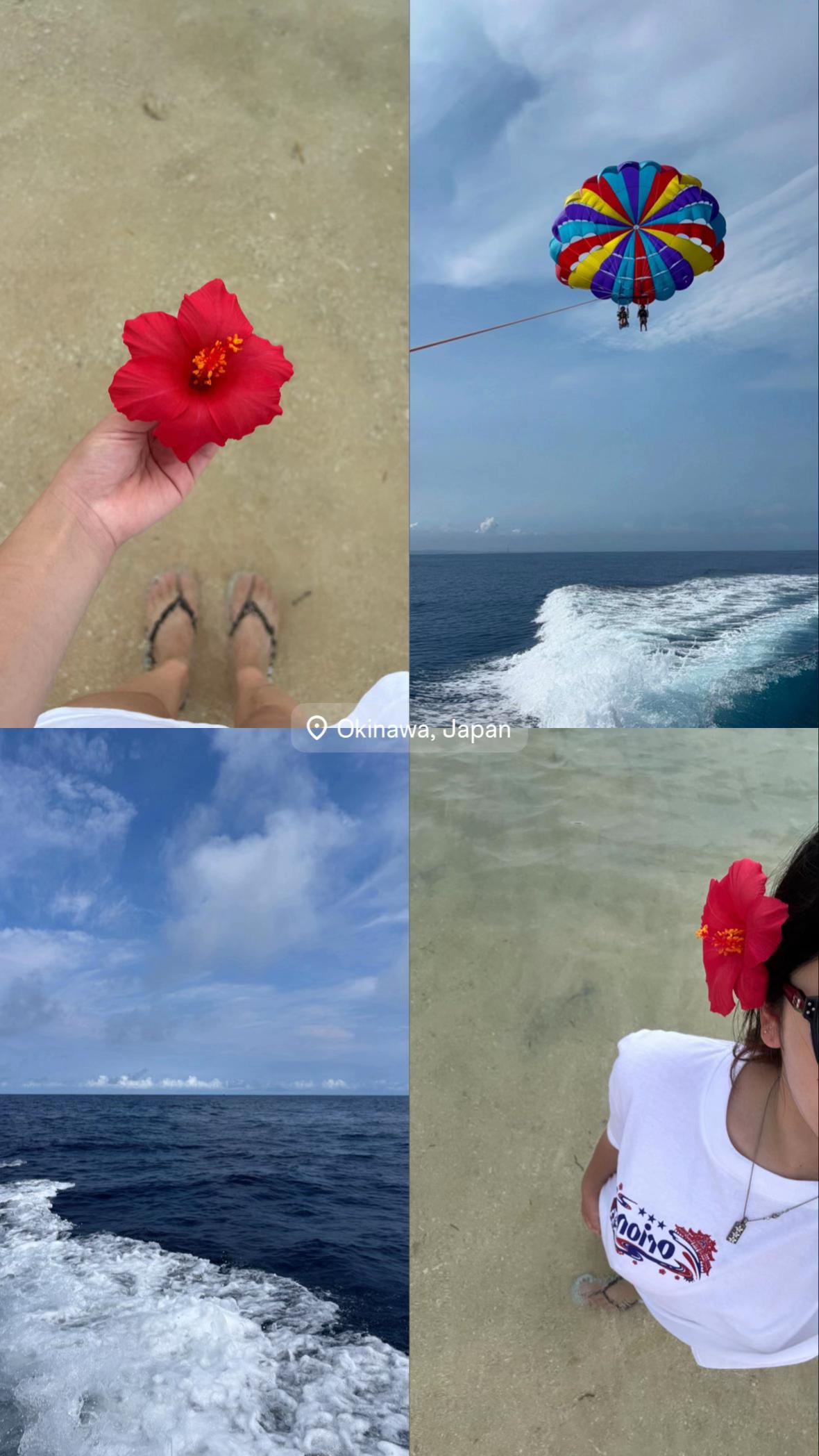 @🌺