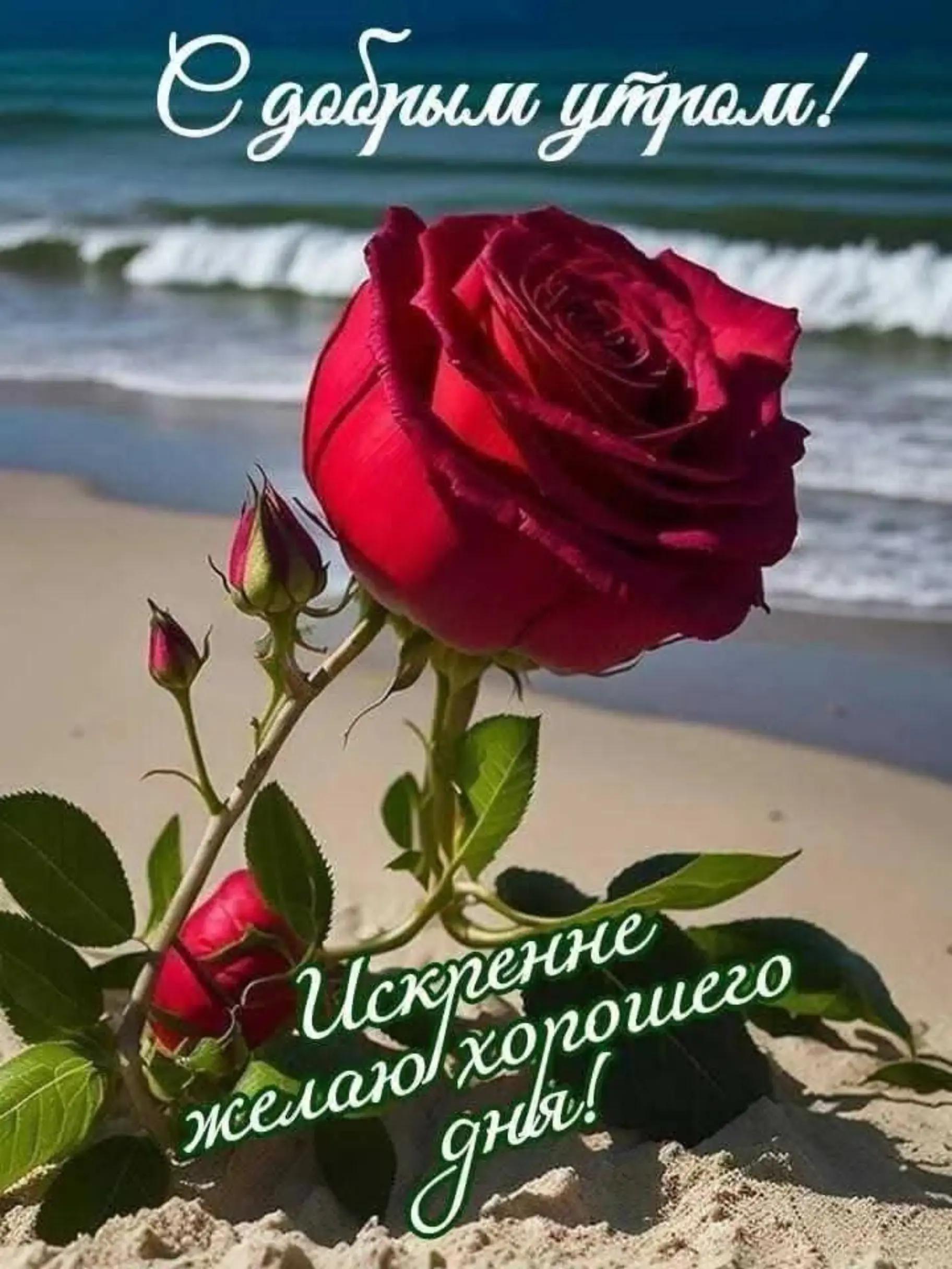 @Valentina 🩷🩷🩷Belarus💜💜💜