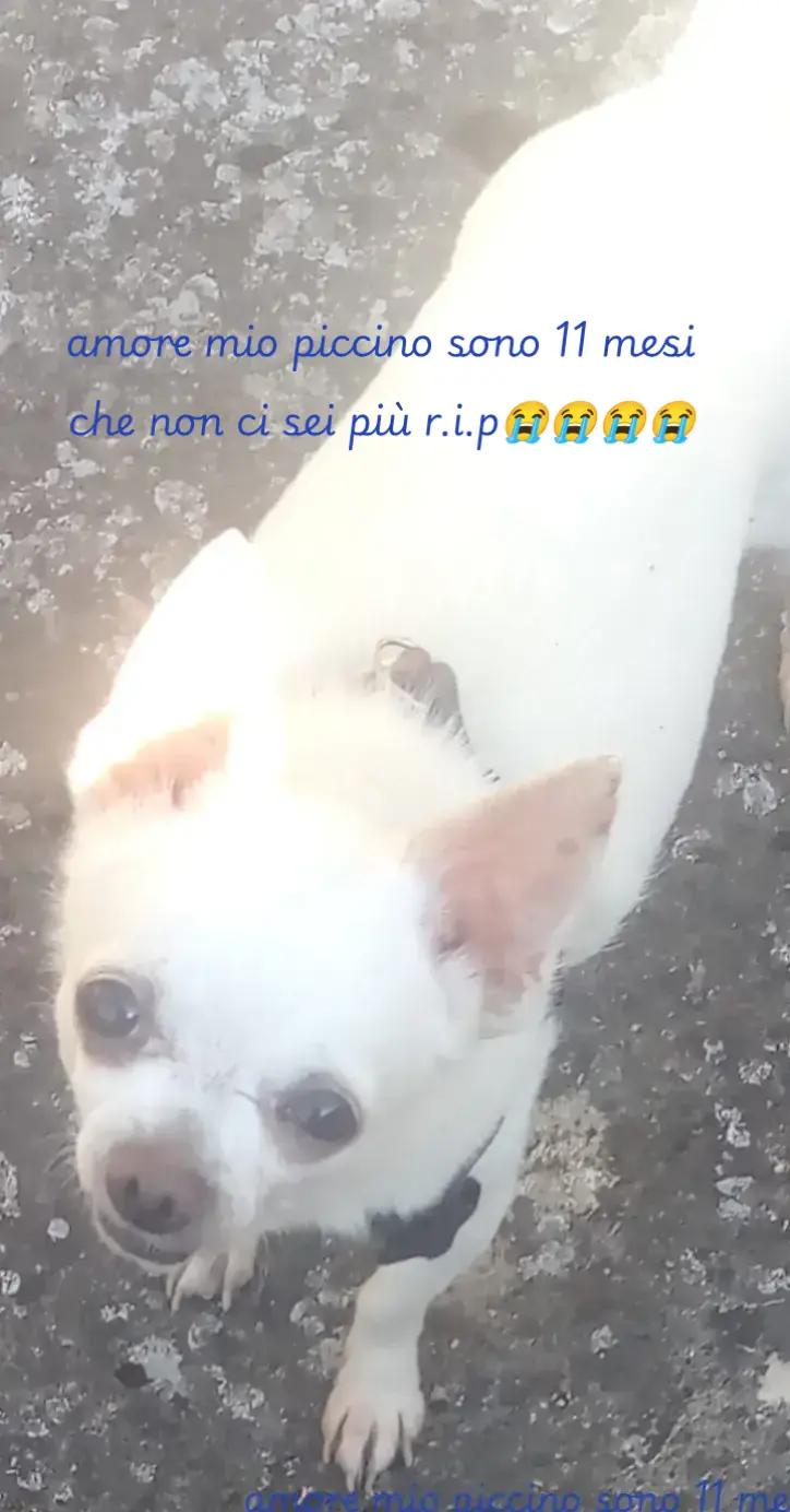 @👑🐺🄲🄾🄽🄵.🅂🄰🄱🅁🅈👑🐺